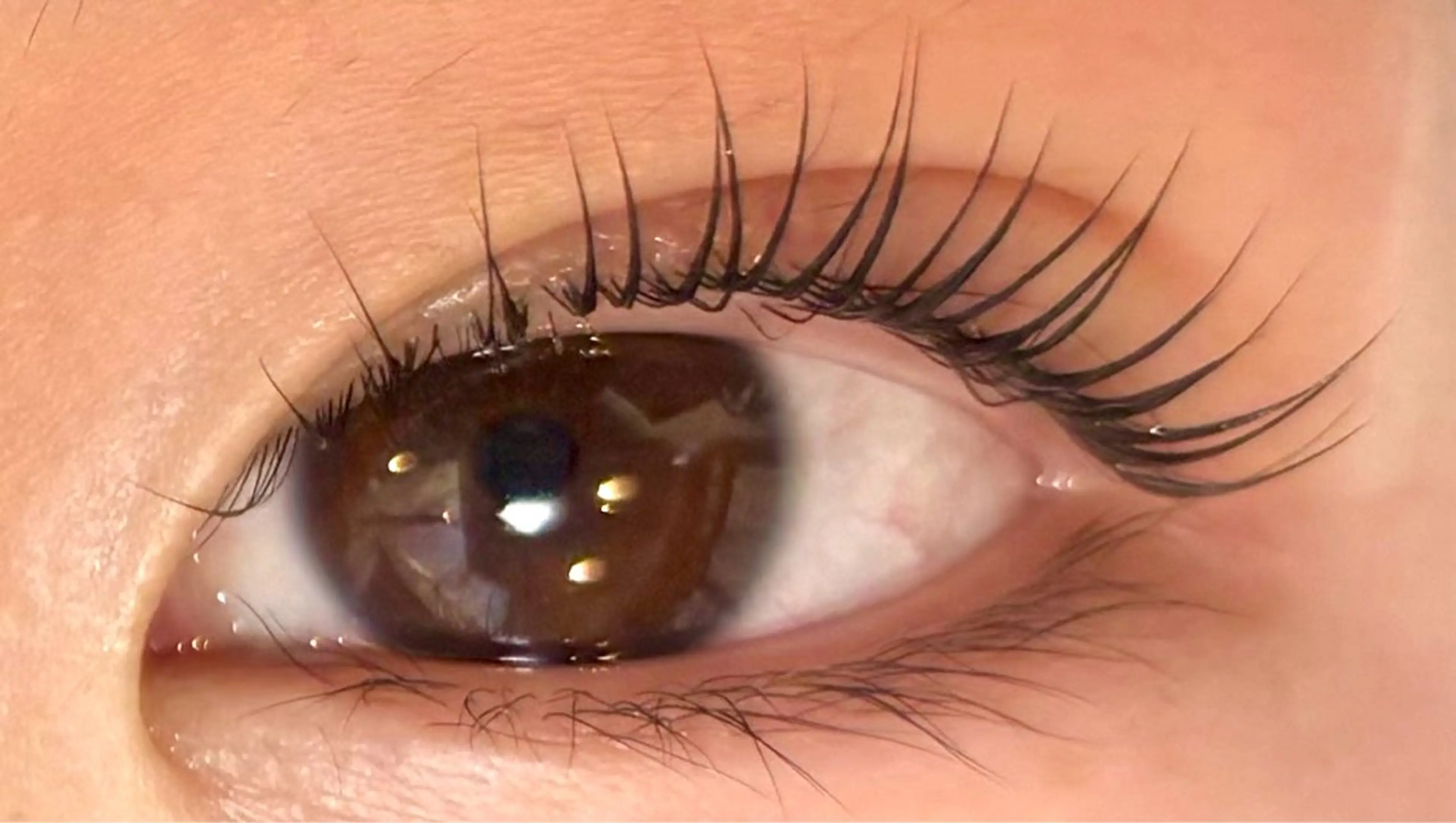 マツエク・マツパ Butterfly 出井のマツエク・マツパデザイン