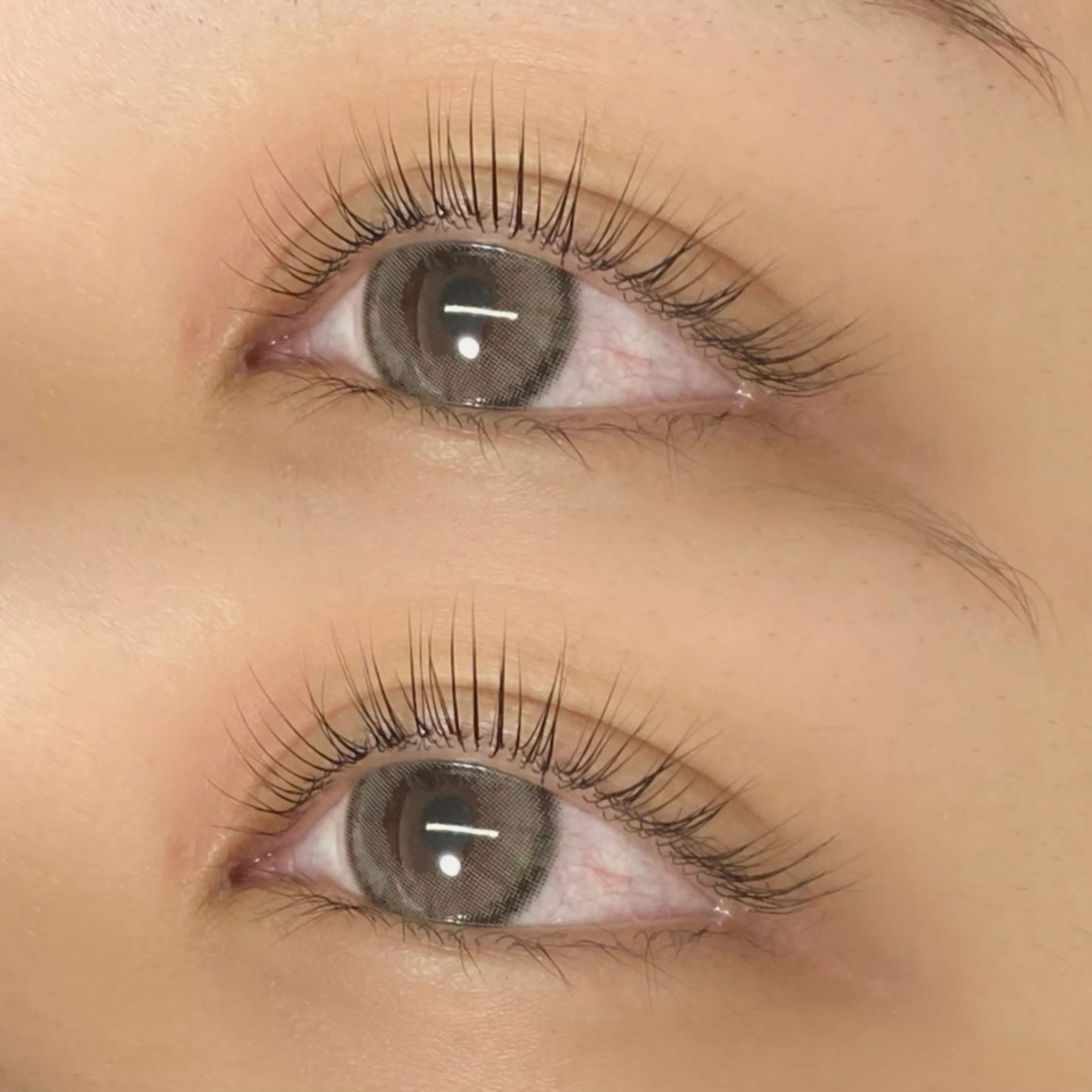 ラッシュリフト (上まつげパーマ)の写真