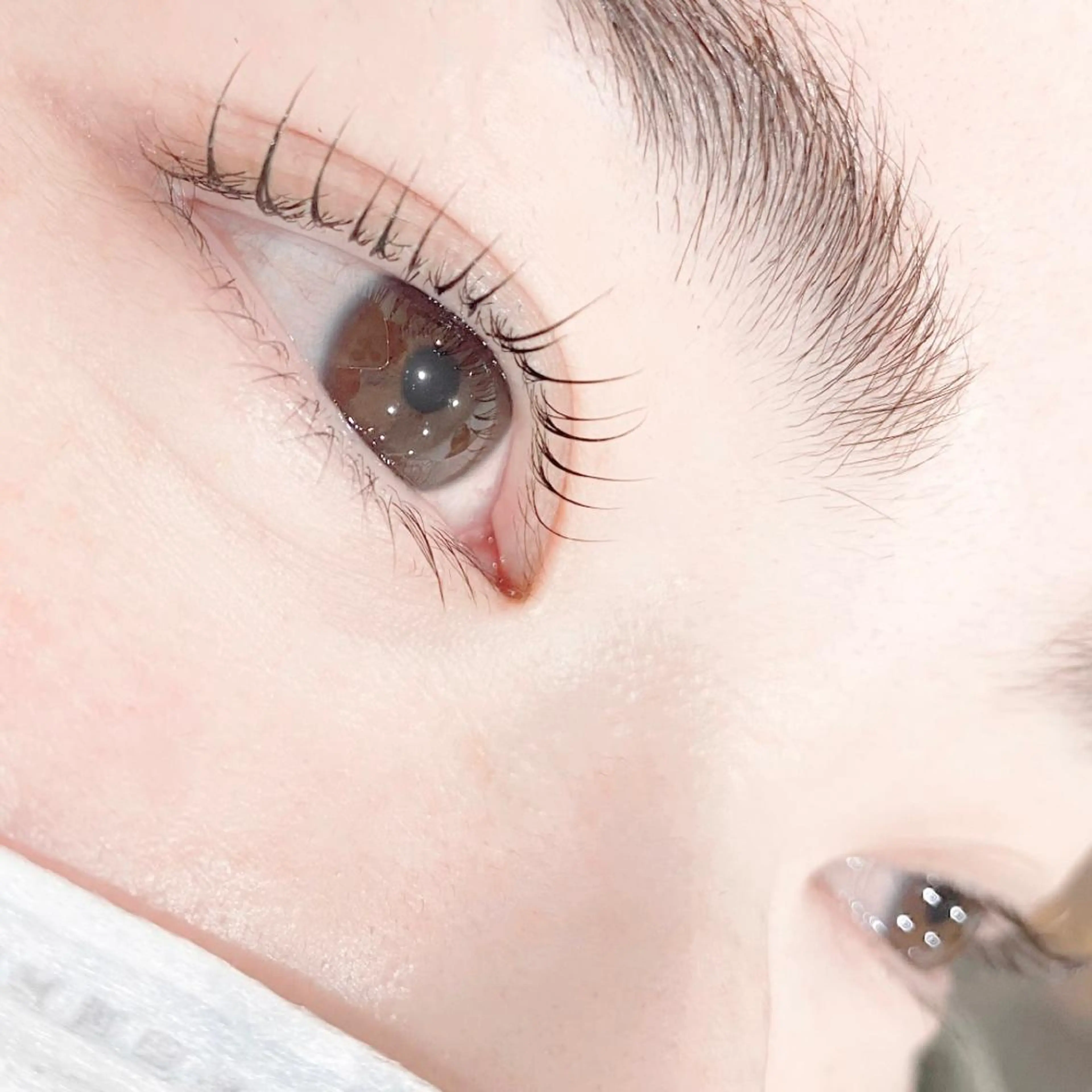 マツエク・マツパ PROGRESS 龍ヶ崎 小泉🦋のマツエク・マツパデザイン