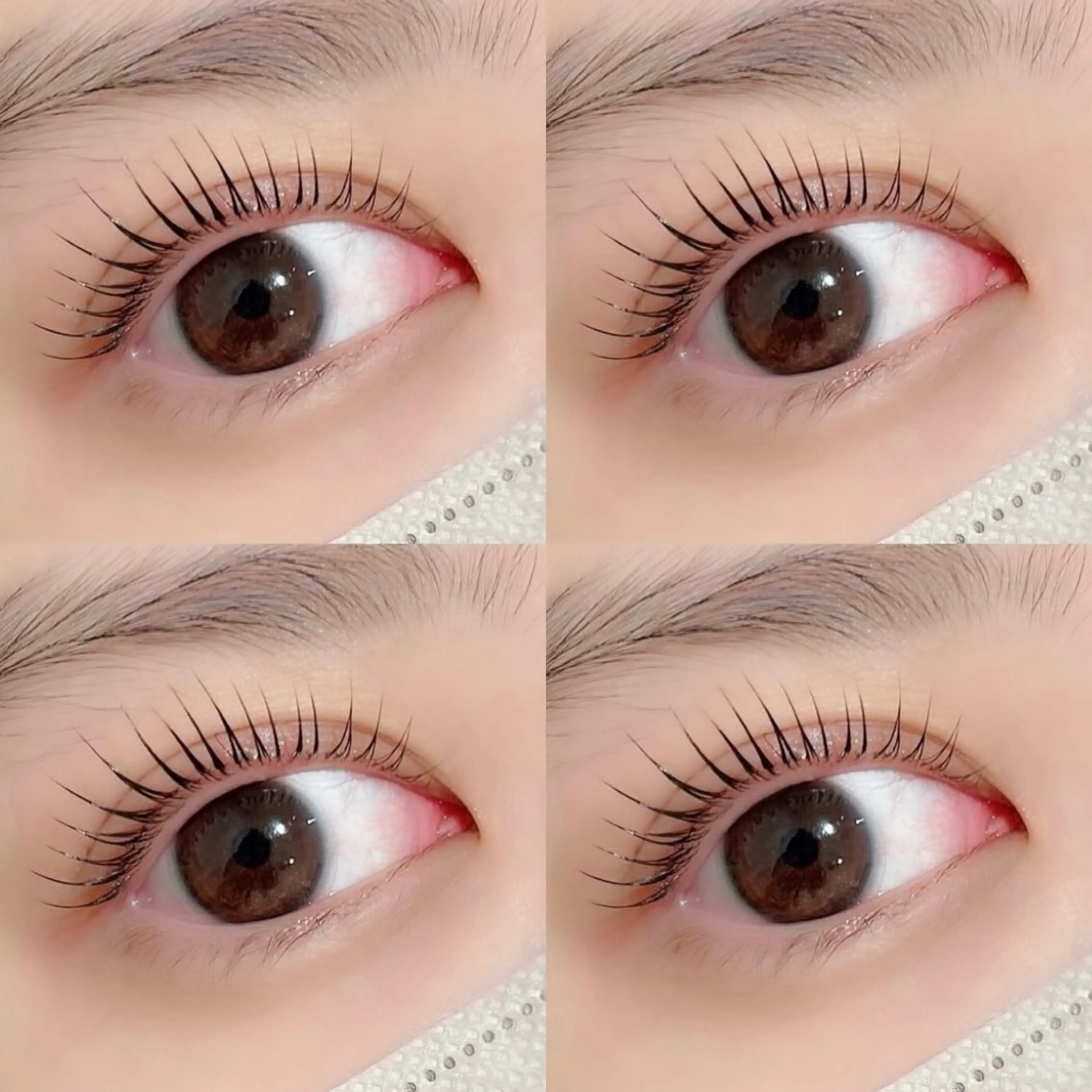 マツエク・マツパ マツパ 京橋🦋LEDマツエ ク&まつ毛パーマのマツエク・マツパデザイン