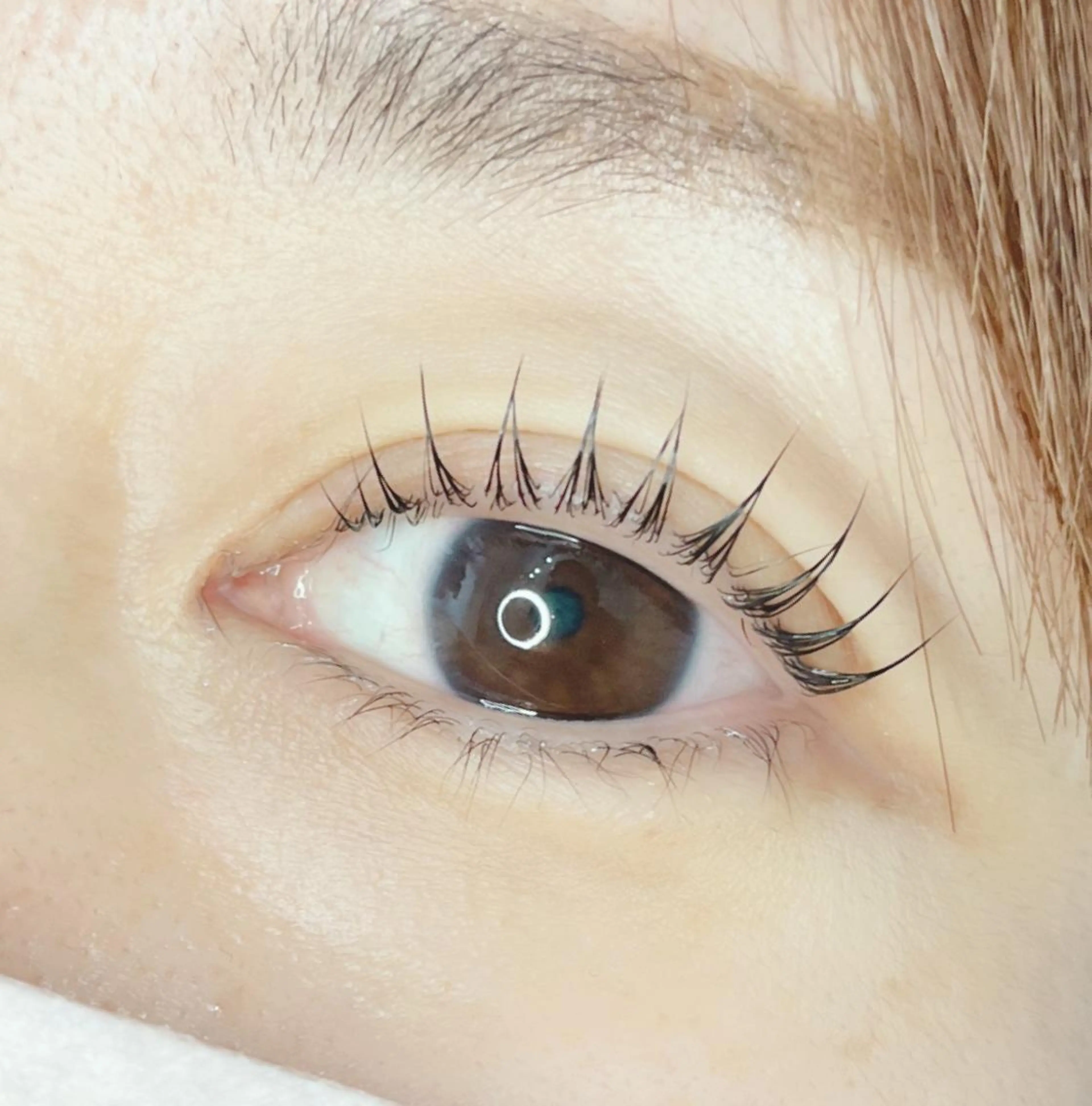 マツエク・マツパ 《eyelash ｉｉｔｅ》森のマツエク・マツパデザイン