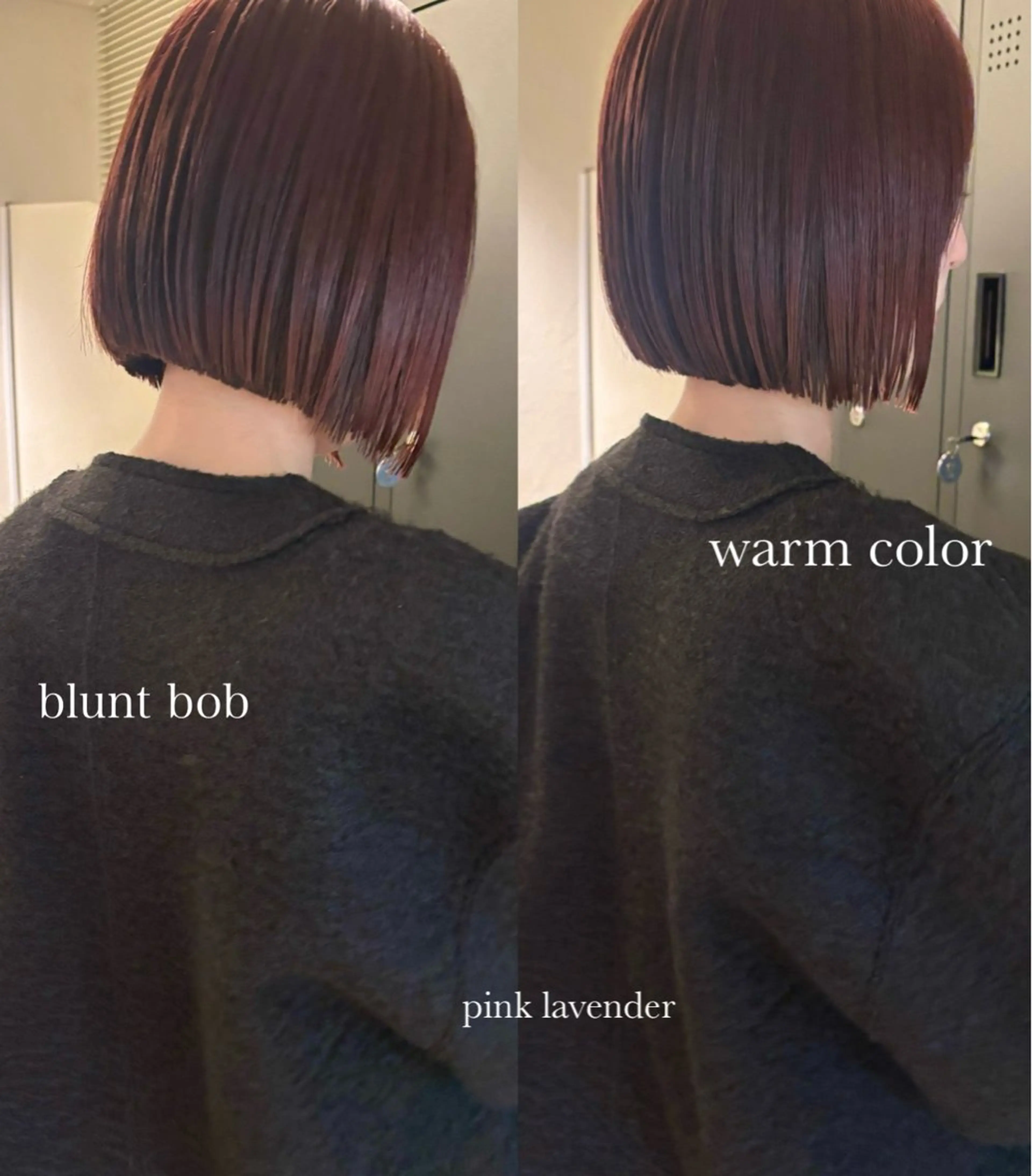 ショート カラー カット ヘアカラー ⌇🌹透明感カラー 🌹ᴍᴇɢᴜᴍɪ ⌇のヘアスタイル