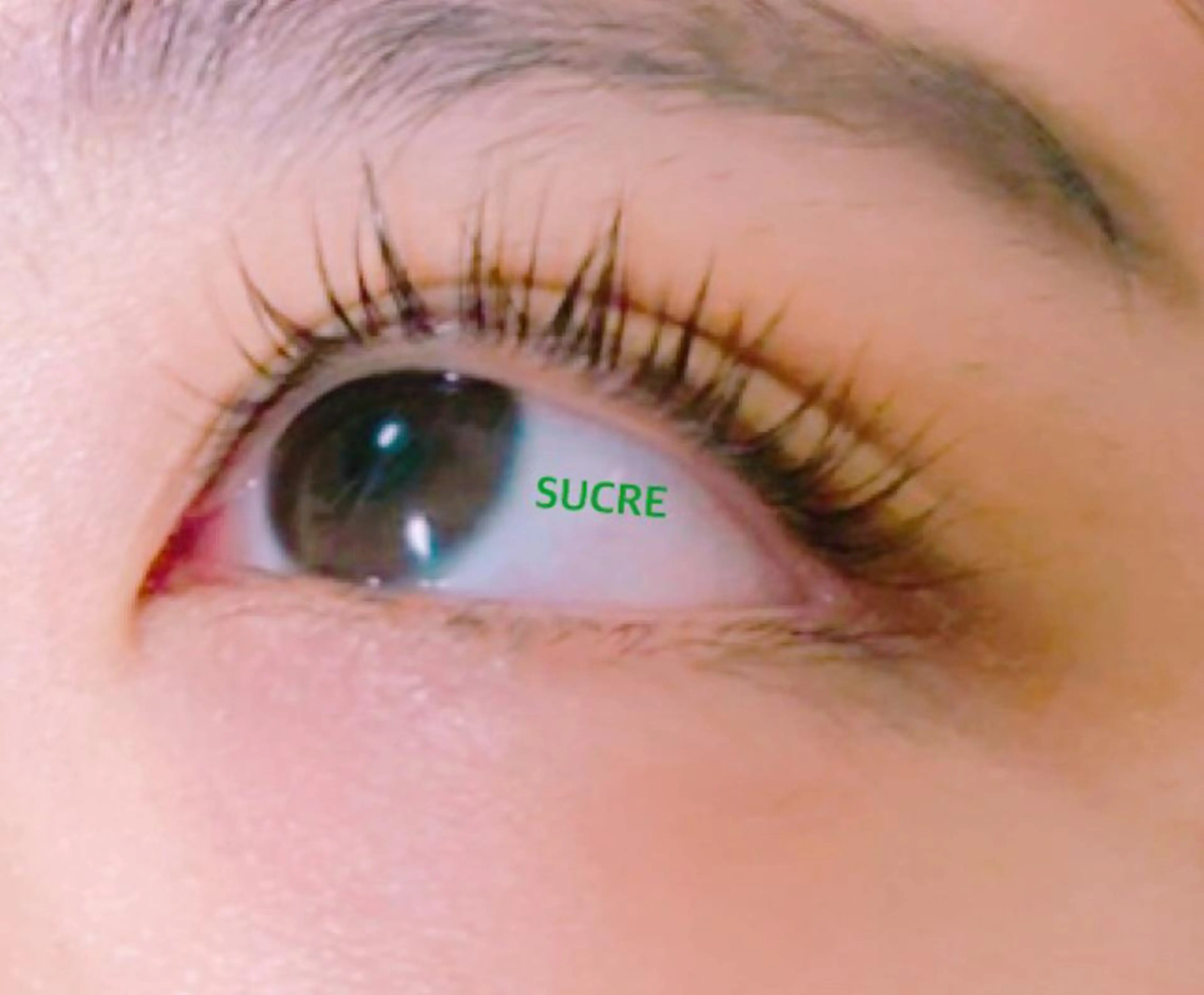 マツエク・マツパ EyelashSalon Liz.&所属・Liz.&現ino 平田のマツエク・マツパデザイン