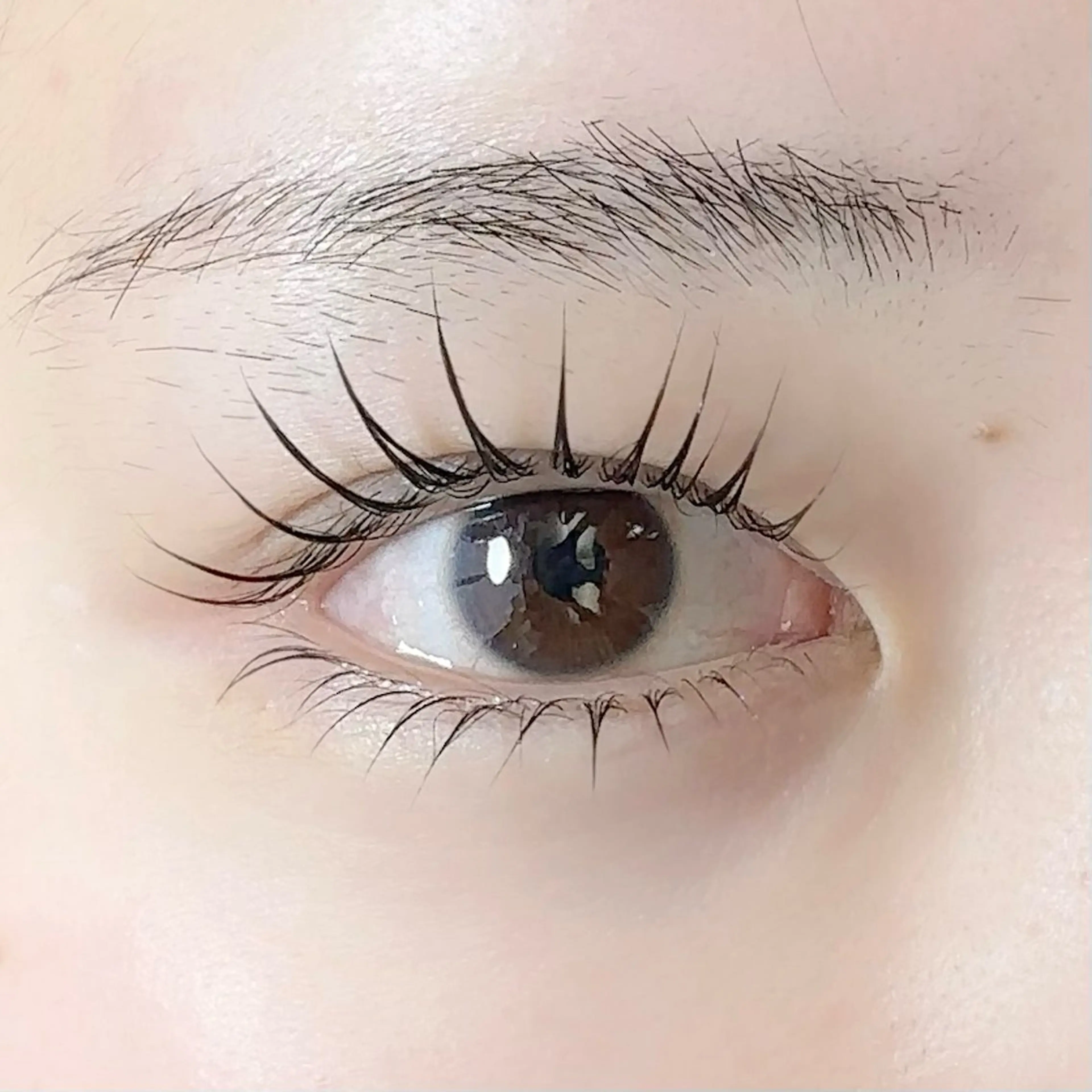 【人気No.1❤️】お悩み解決‼️選べるデザイン上下まつ毛パーマ🫧✨🍑¥10500→¥8000の写真