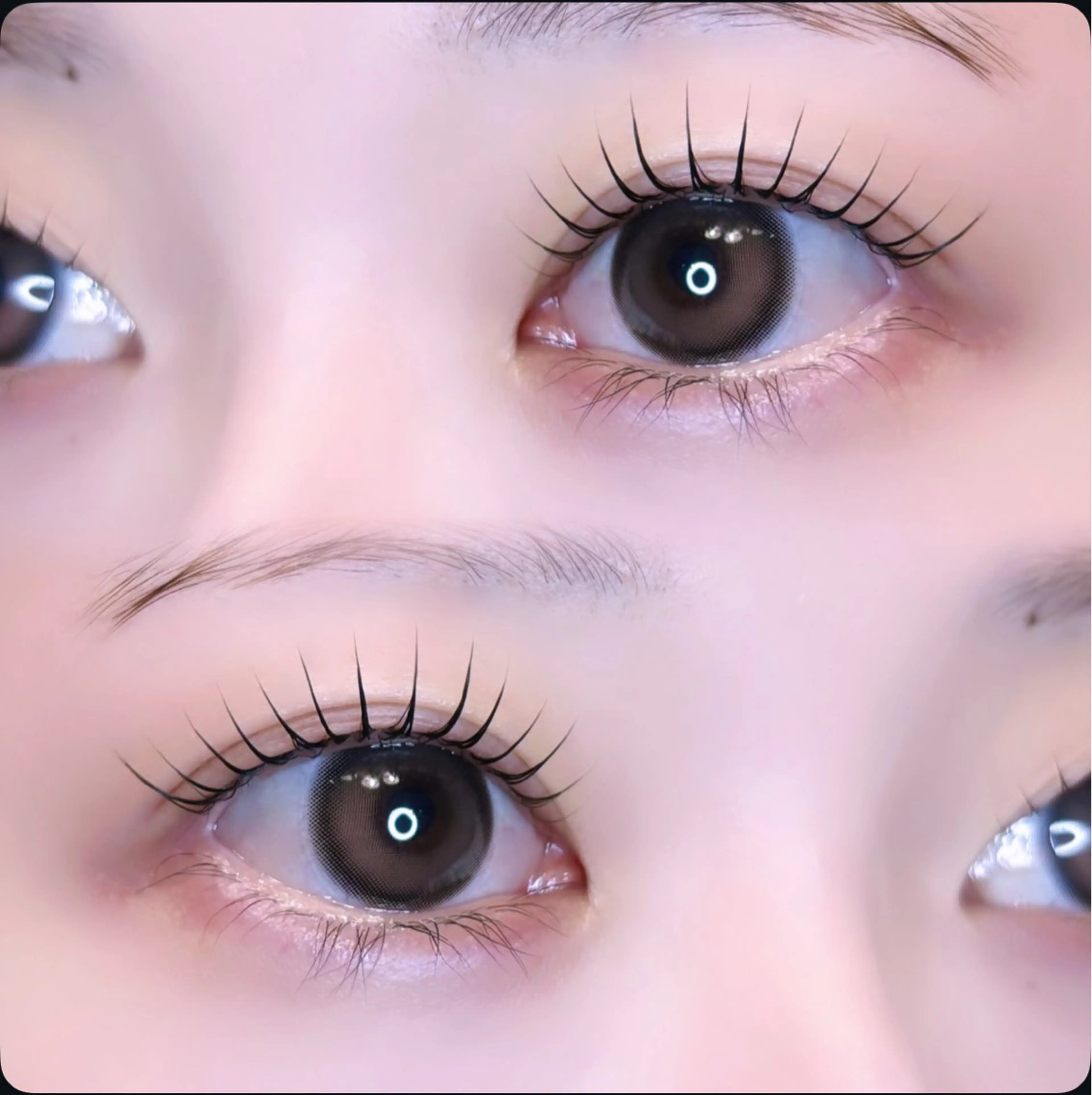 【14日限定❣️】パリジェンヌ/まつ毛パーマ※アイシャンプー、トリートメント付きの写真