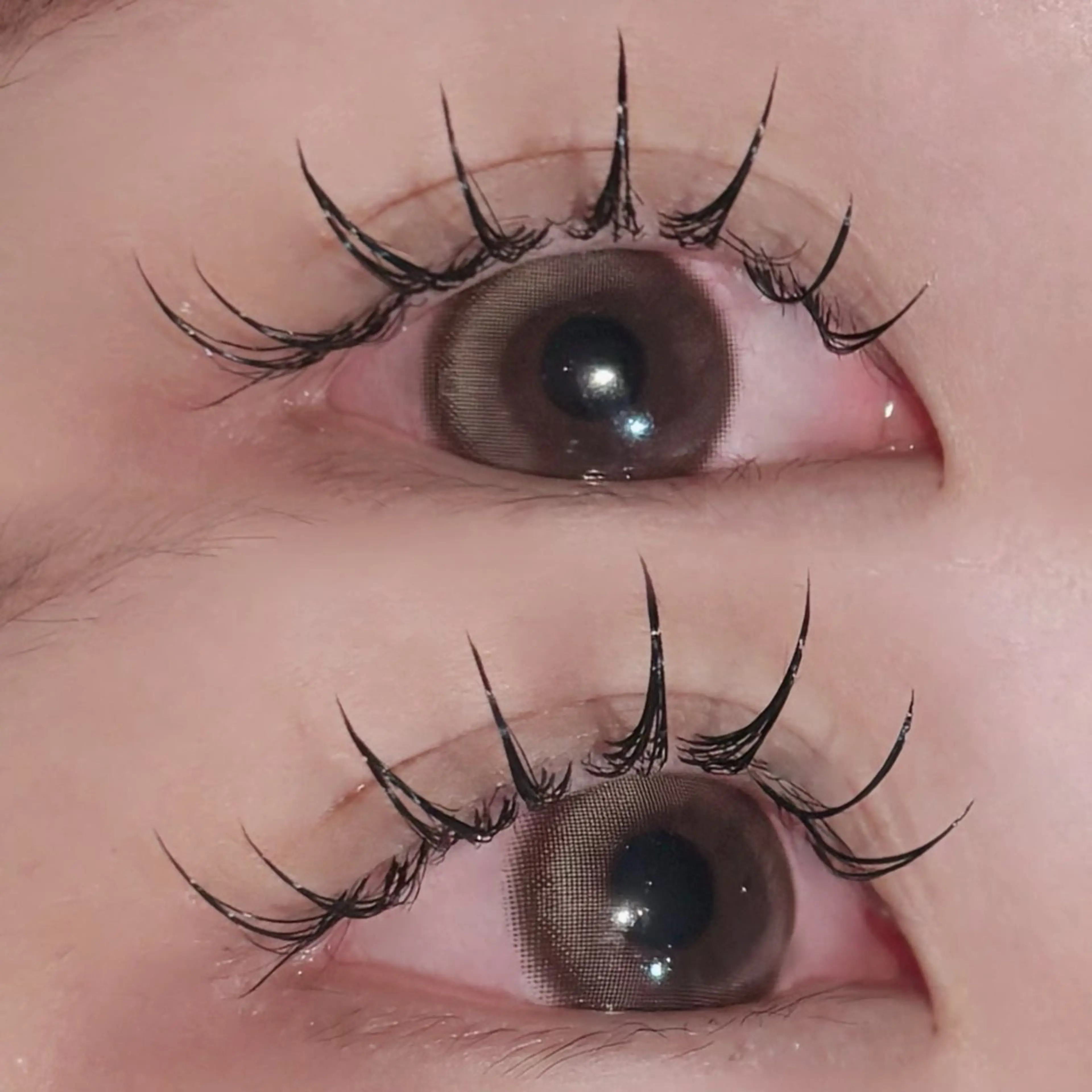 マツエク・マツパ Brandnew 大和西大寺elliのマツエク・マツパデザイン