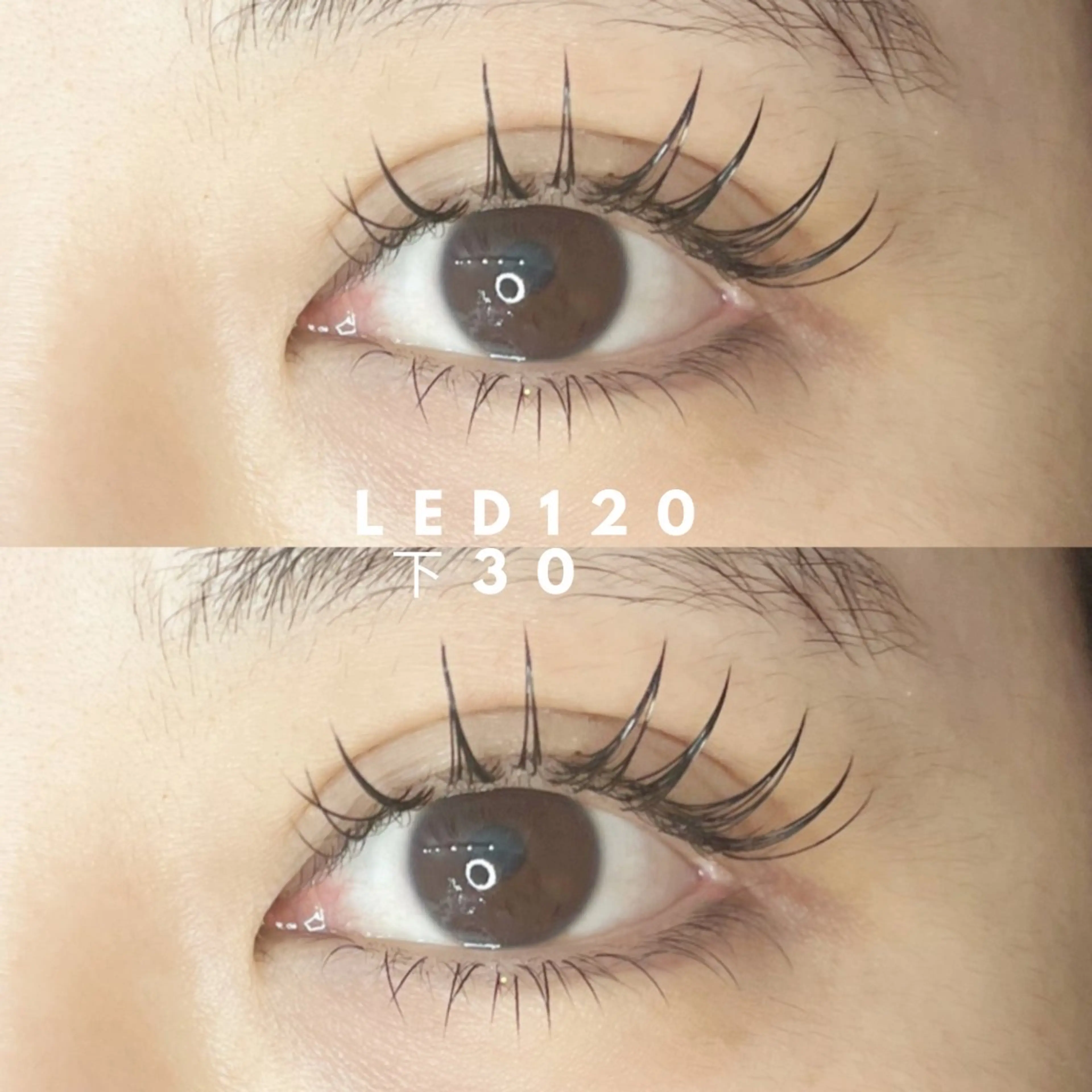 マツエク・マツパ 《eyelash ｉｉｔｅ》森のマツエク・マツパデザイン