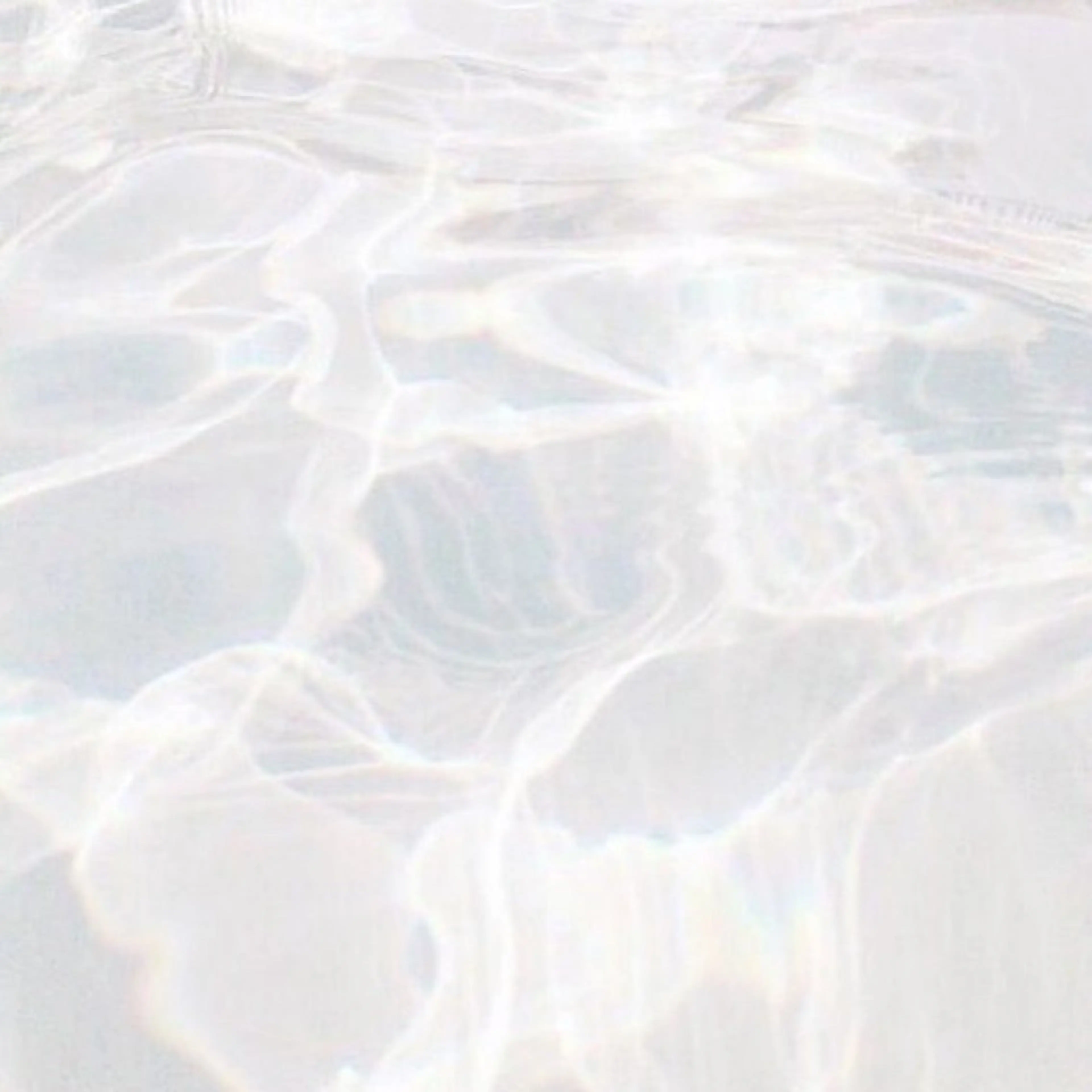 【全員】シンプルフルメイク🕊️の写真