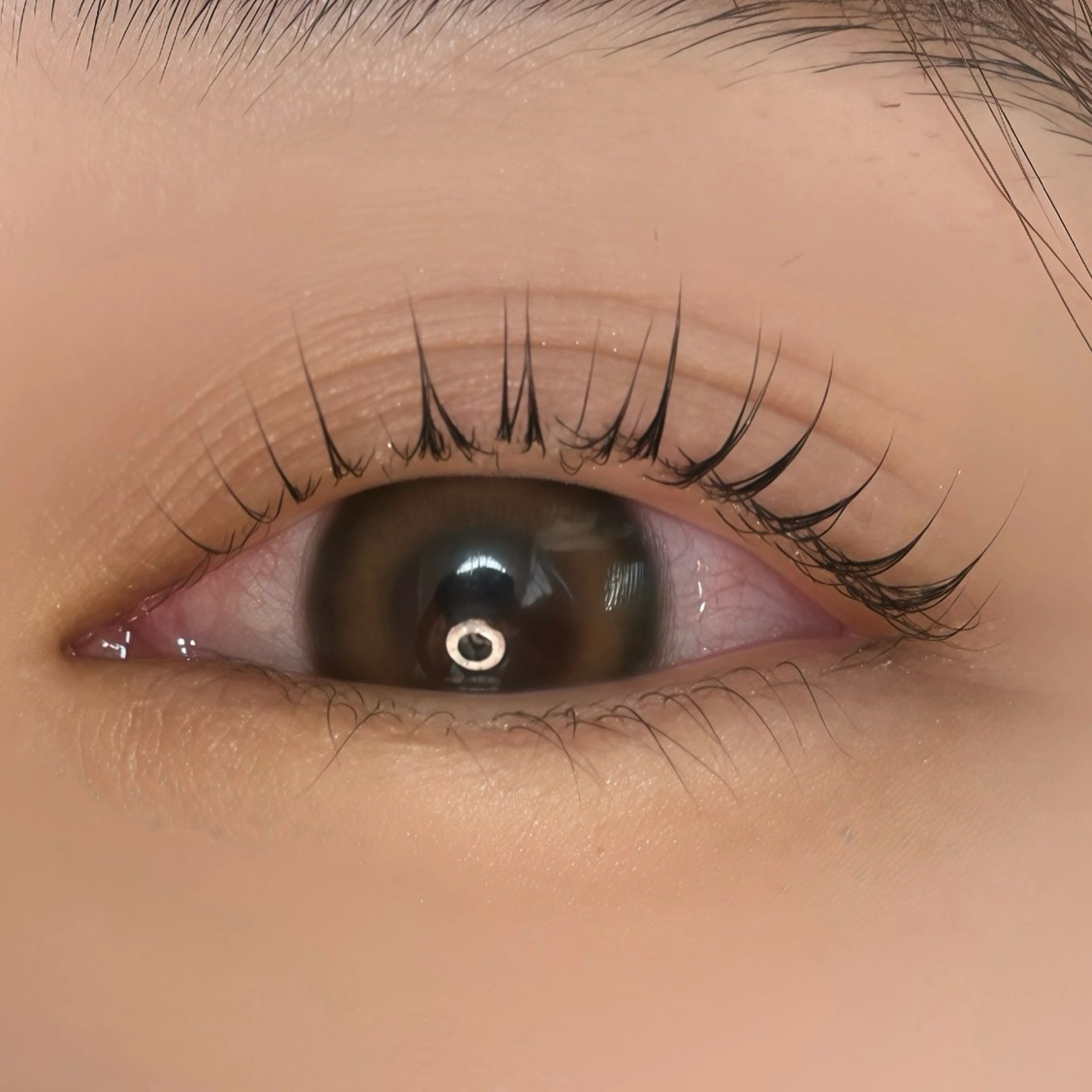 【ご新規様】ラッシュリフト💝ぱっちり根元立上げ✨の写真