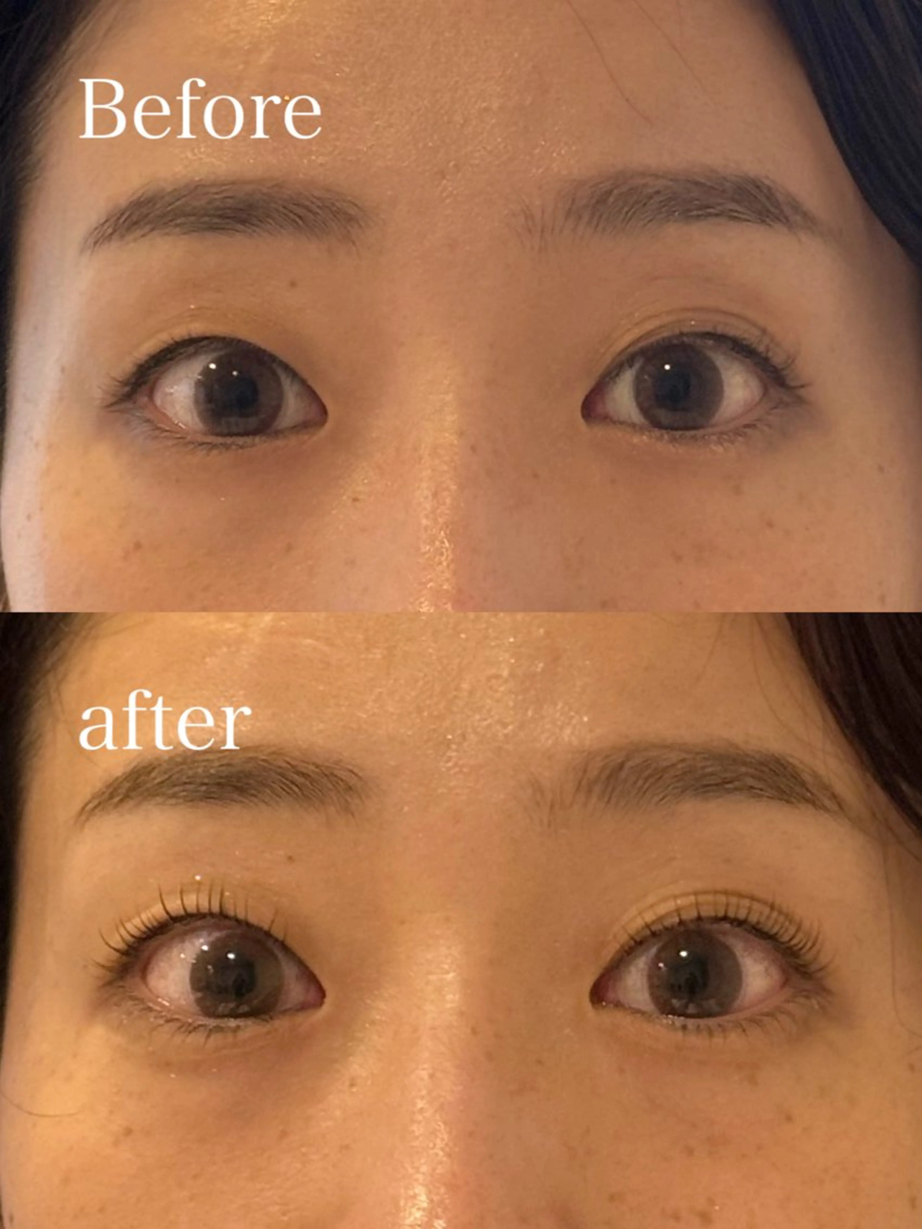 【ラッシュリフト上下】アイシャンプー、コーティング付き🧴🫧の写真