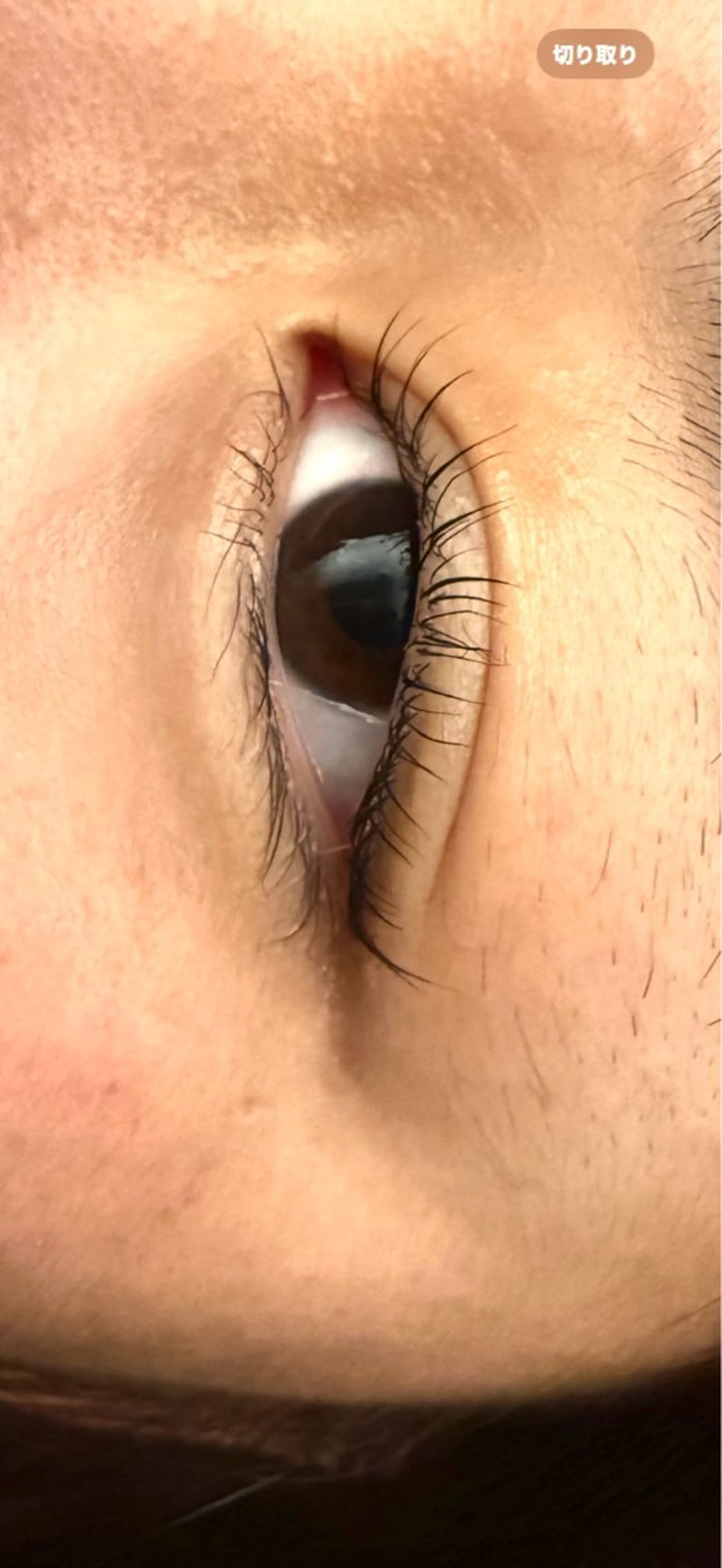 マツエク・マツパ パリジェンヌラッシュリフト 山下 聖愛羅のマツエク・マツパデザイン