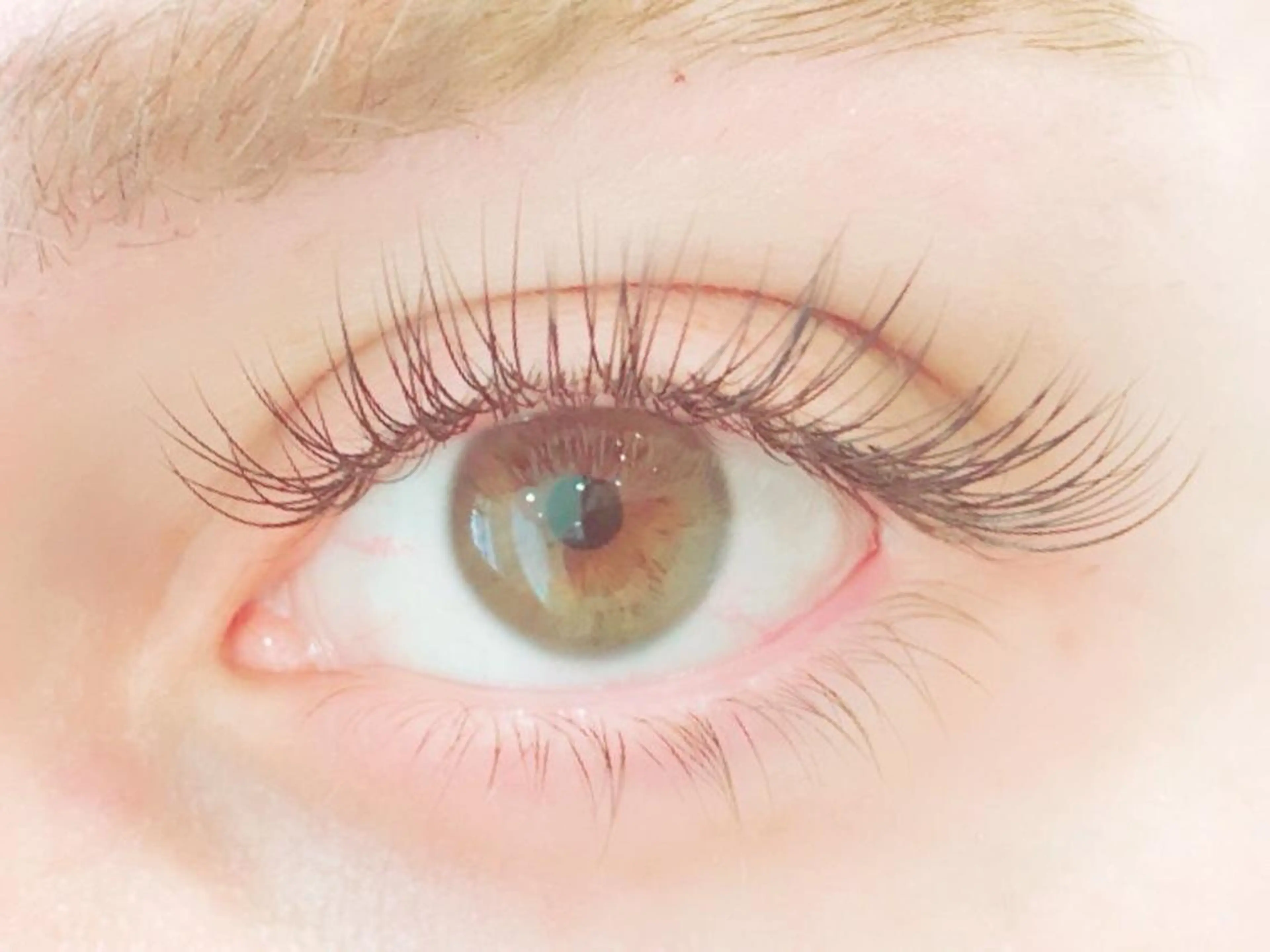 🌼最新技術マッフルラップ60束🌼の写真