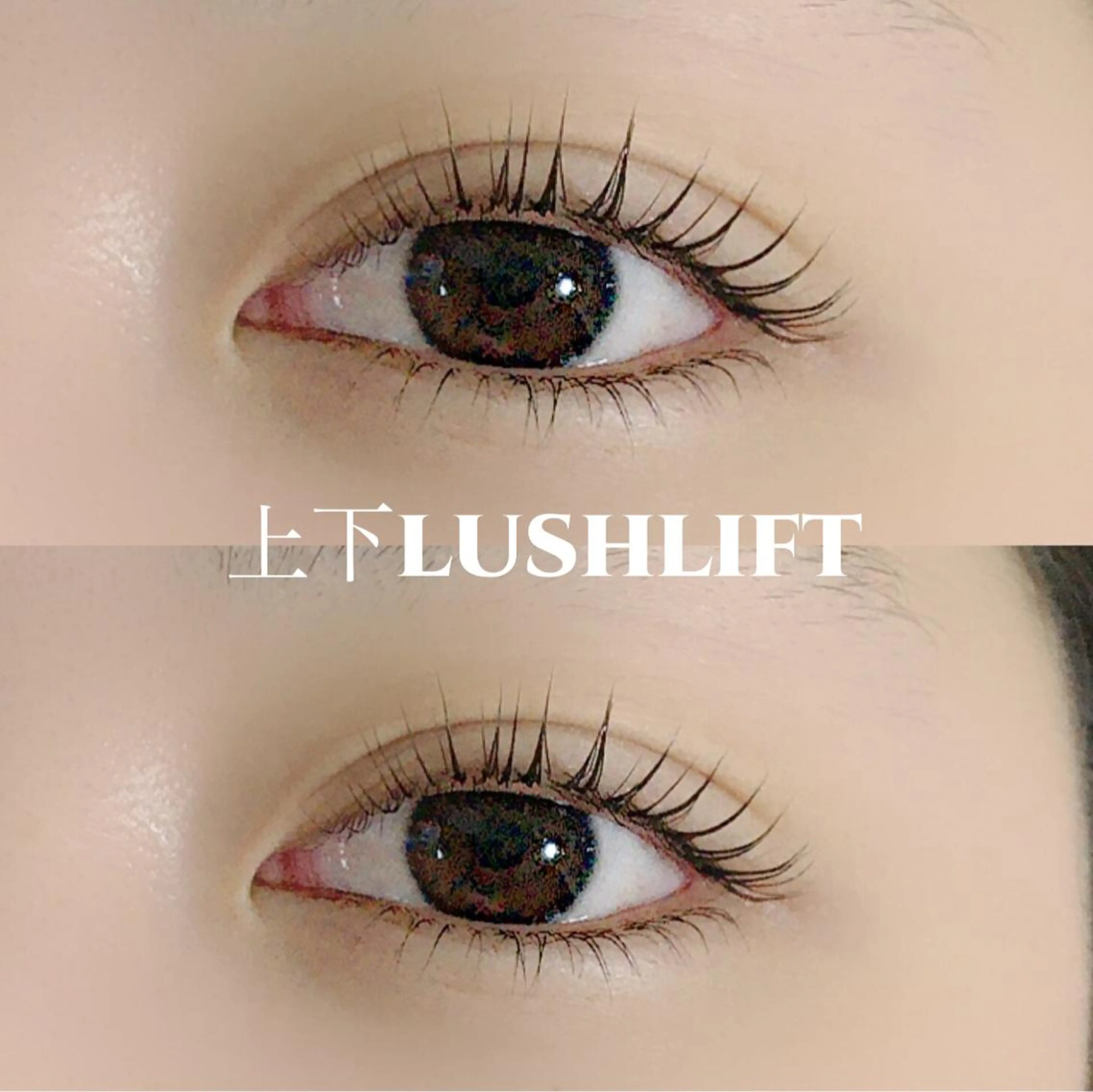 マツエク・マツパ カラーマツエク Éclat du Bonheur 〜by Moana〜所属・エクラドゥボヌール バイモアナ　katoのマツエク・マツパデザイン