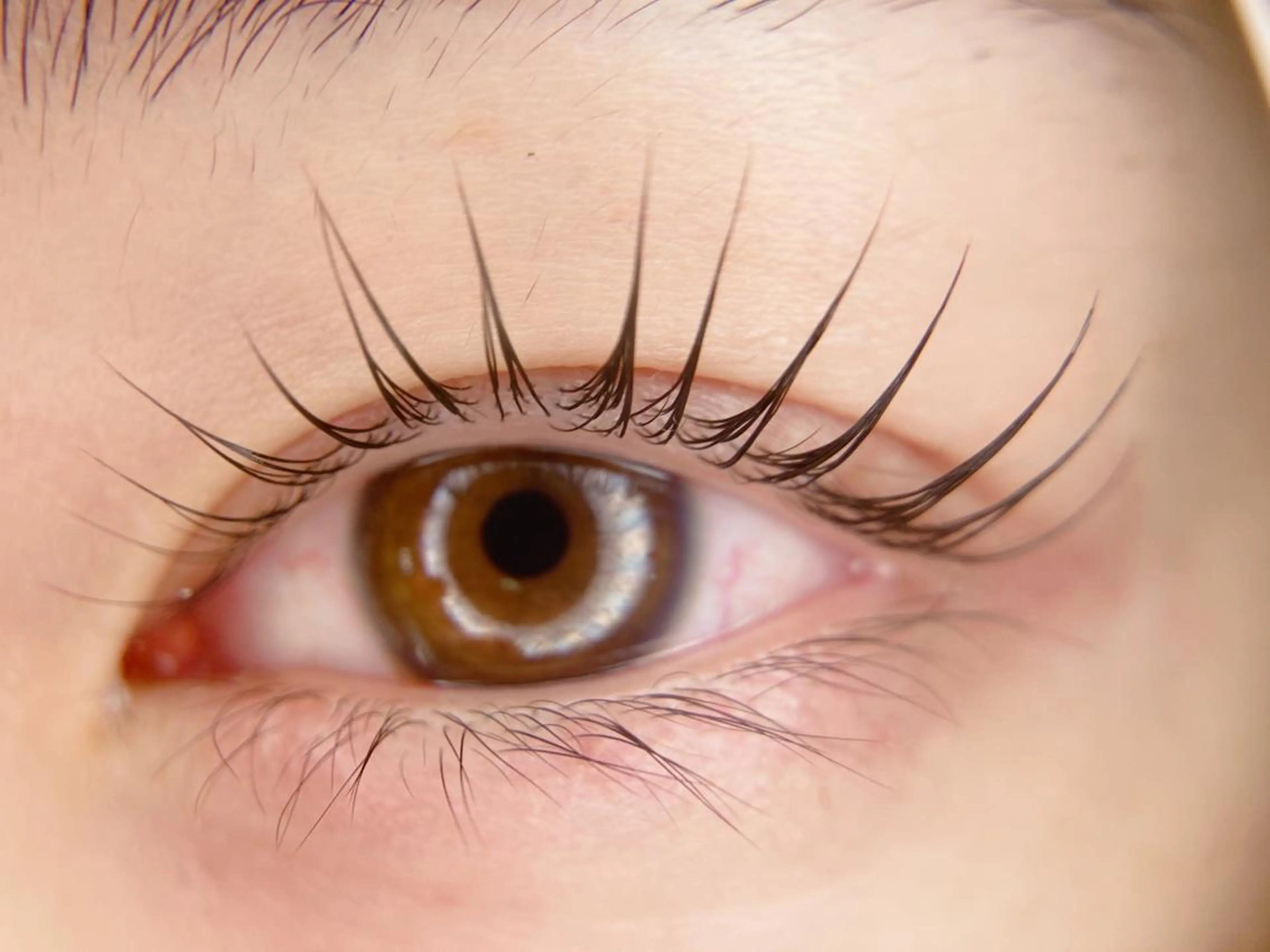 マツエク・マツパ マツパ －Ojiー セナのマツエク・マツパデザイン