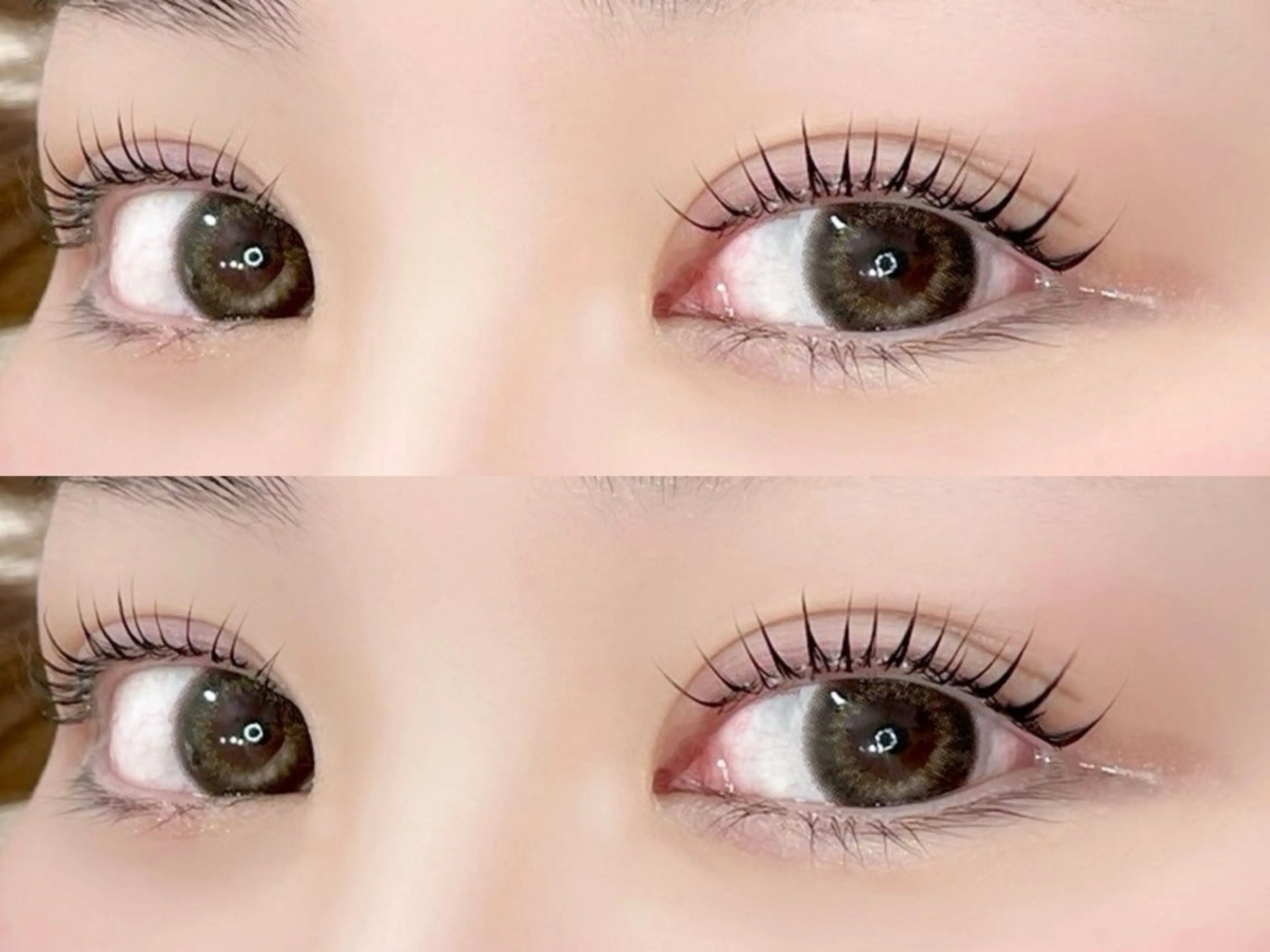 【学生限定‼️先着2名様💨】まつげパーマ🌼束感コーティングつき🌼の写真