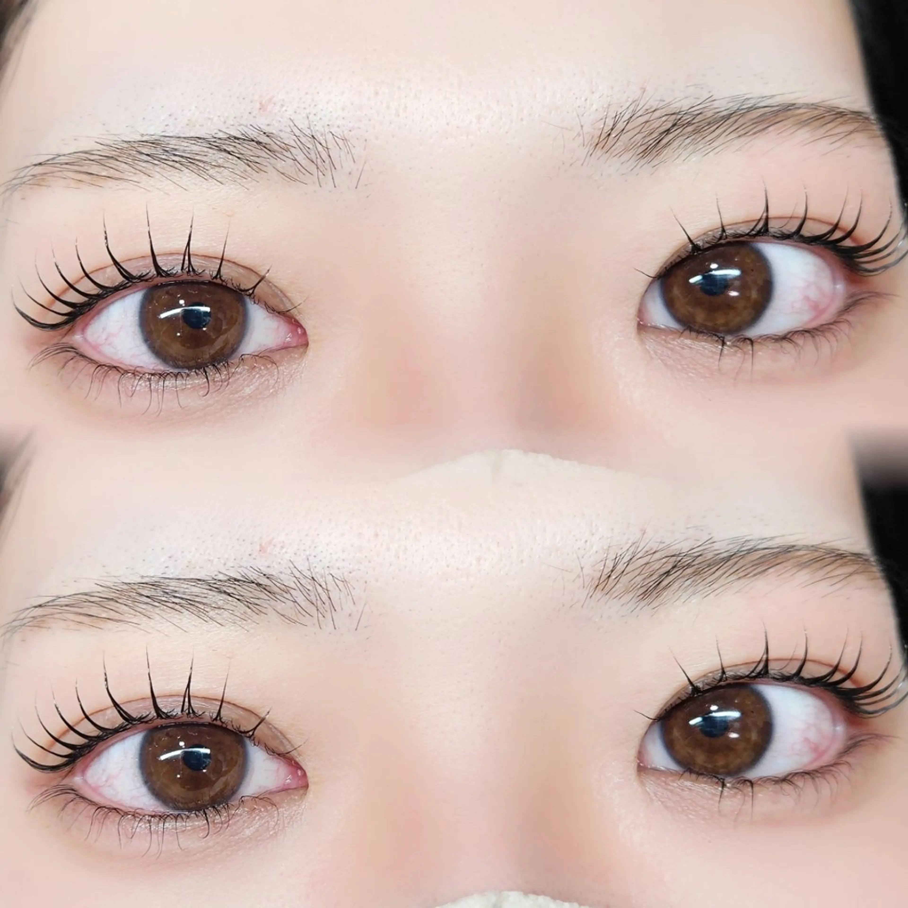 まつ毛パーマ🌿コーティング仕上げ✨の写真