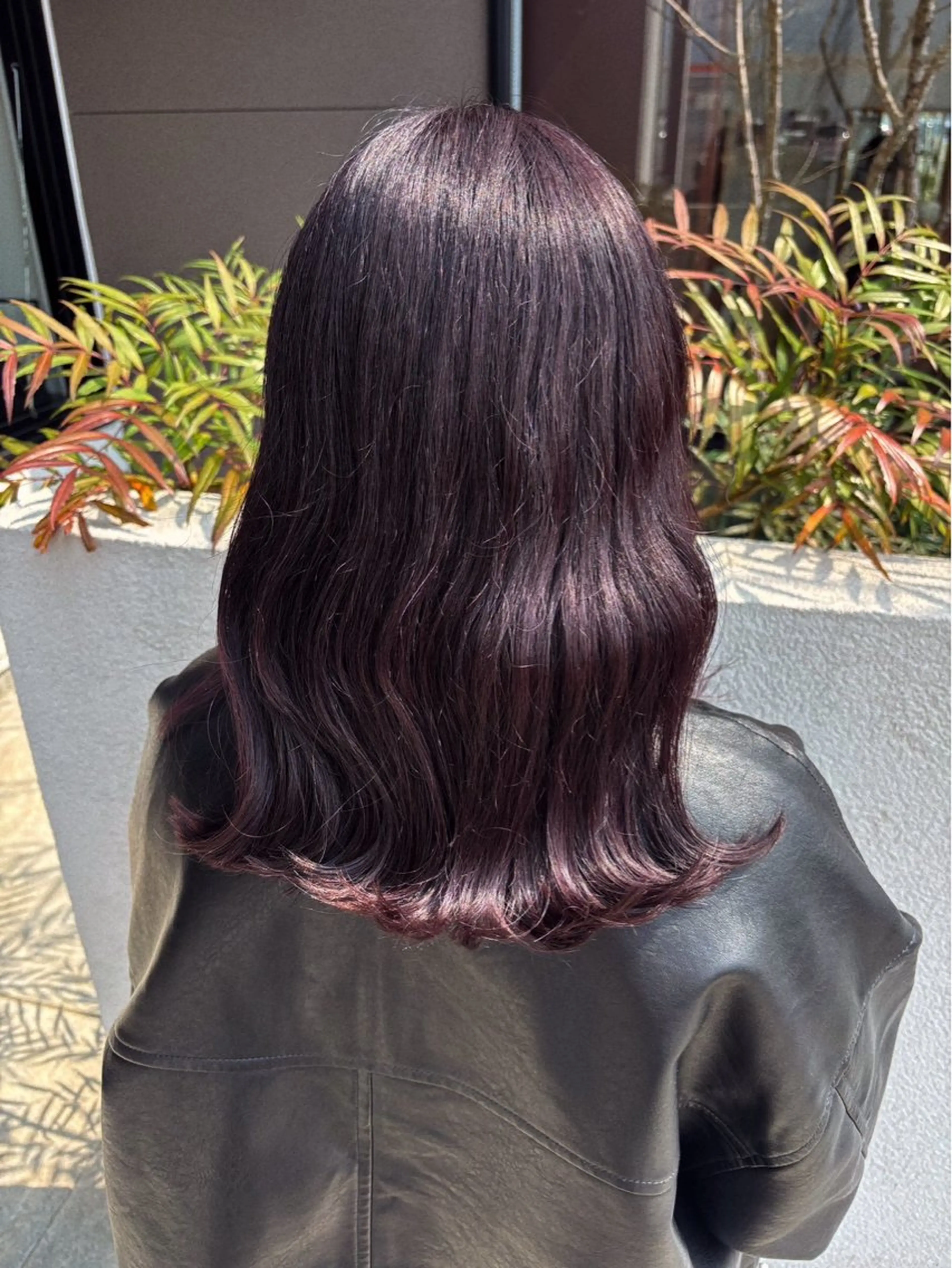ミディアム カラー ブラウンカラー カシス 川邊 唯礼のヘアスタイル
