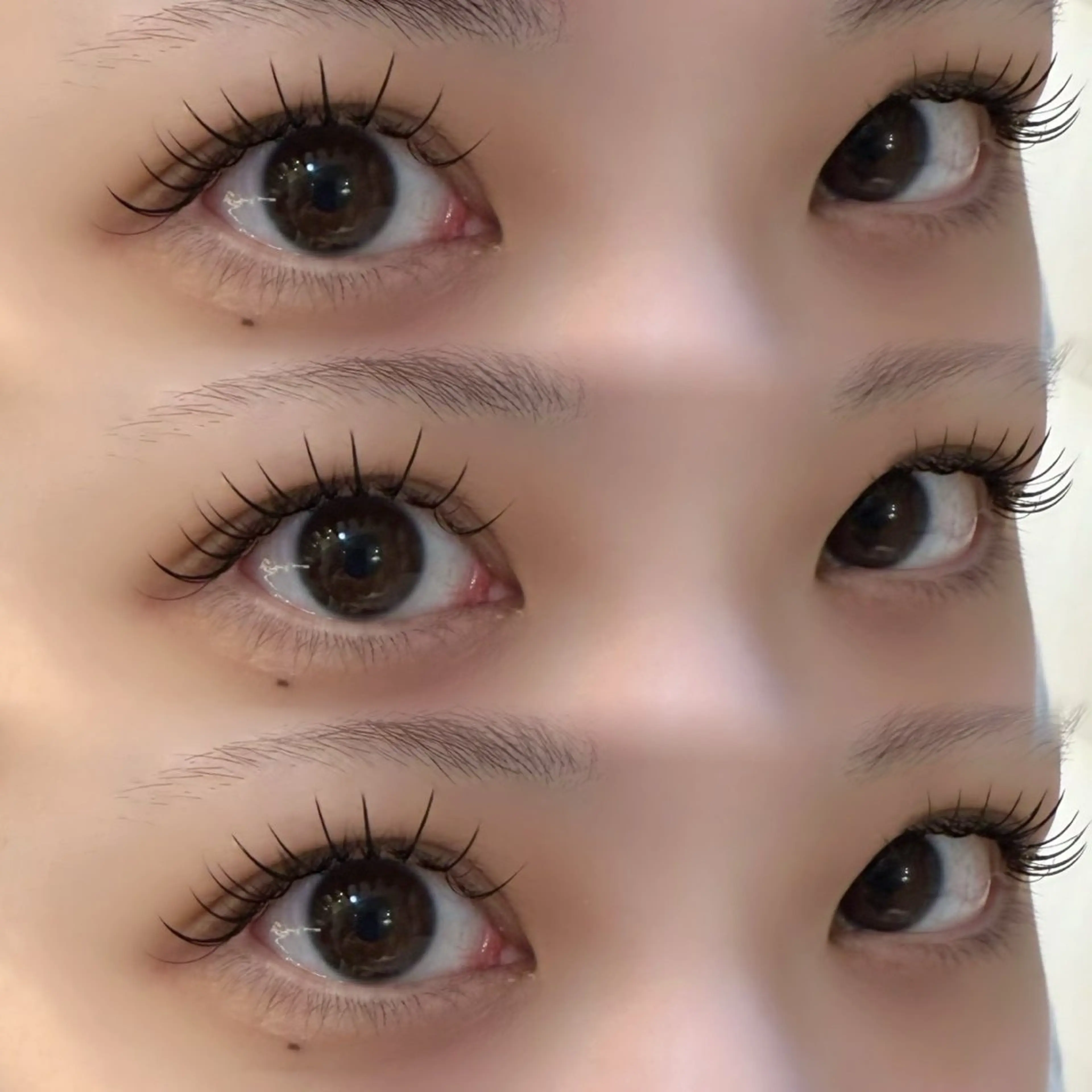 🫧🤍まつエク🤍🫧80​〜​100本オフ無料の写真