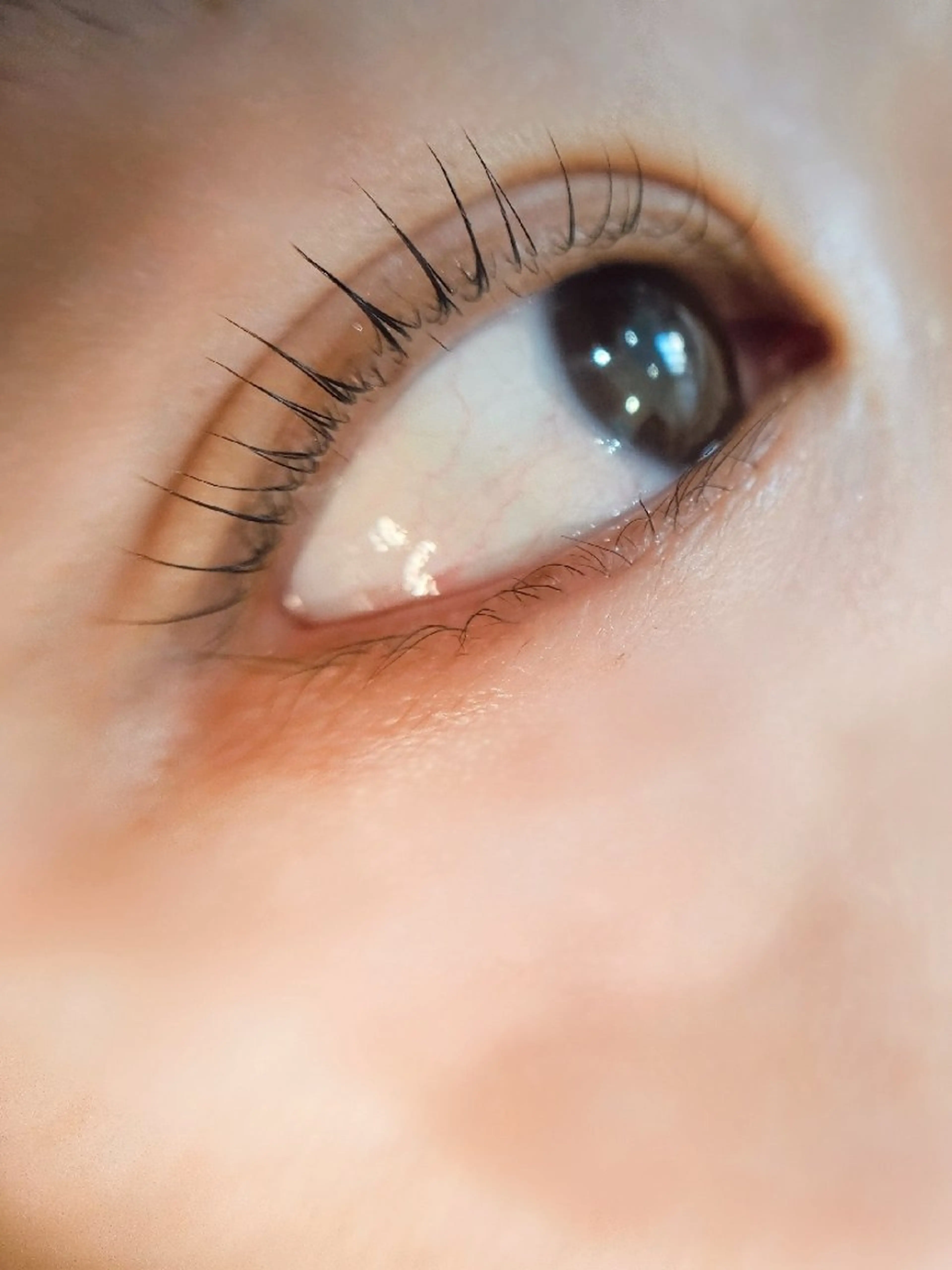 マツエク・マツパ マツパ 11/4open👏 Refoile🎉のマツエク・マツパデザイン