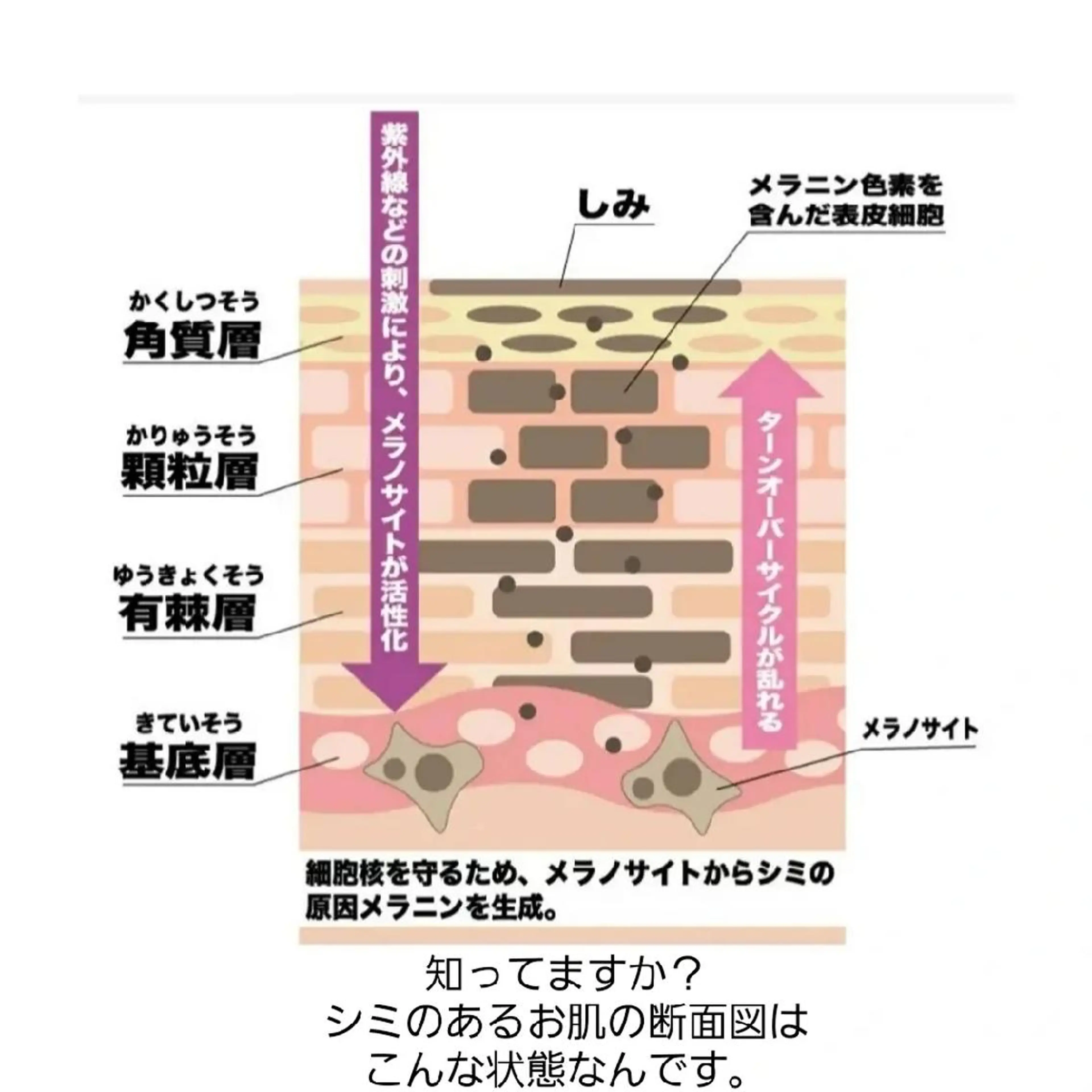 シミケア美肌脱毛専門 Clearのエステ・リラクイメージ