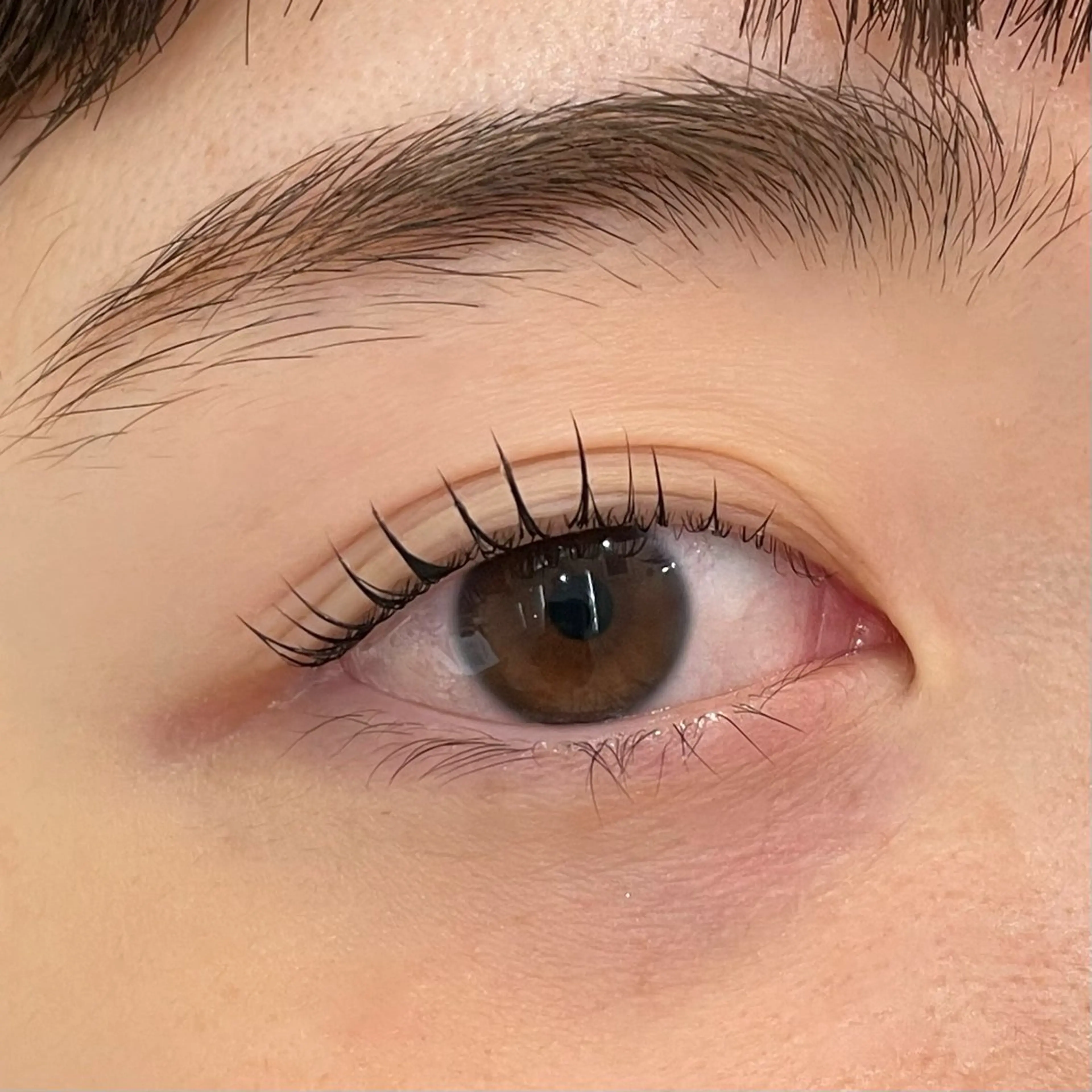 マツエク・マツパ イチハラ🌿銀座🍀 アイブロウリスト🍯の眉毛・アイブロウイメージ