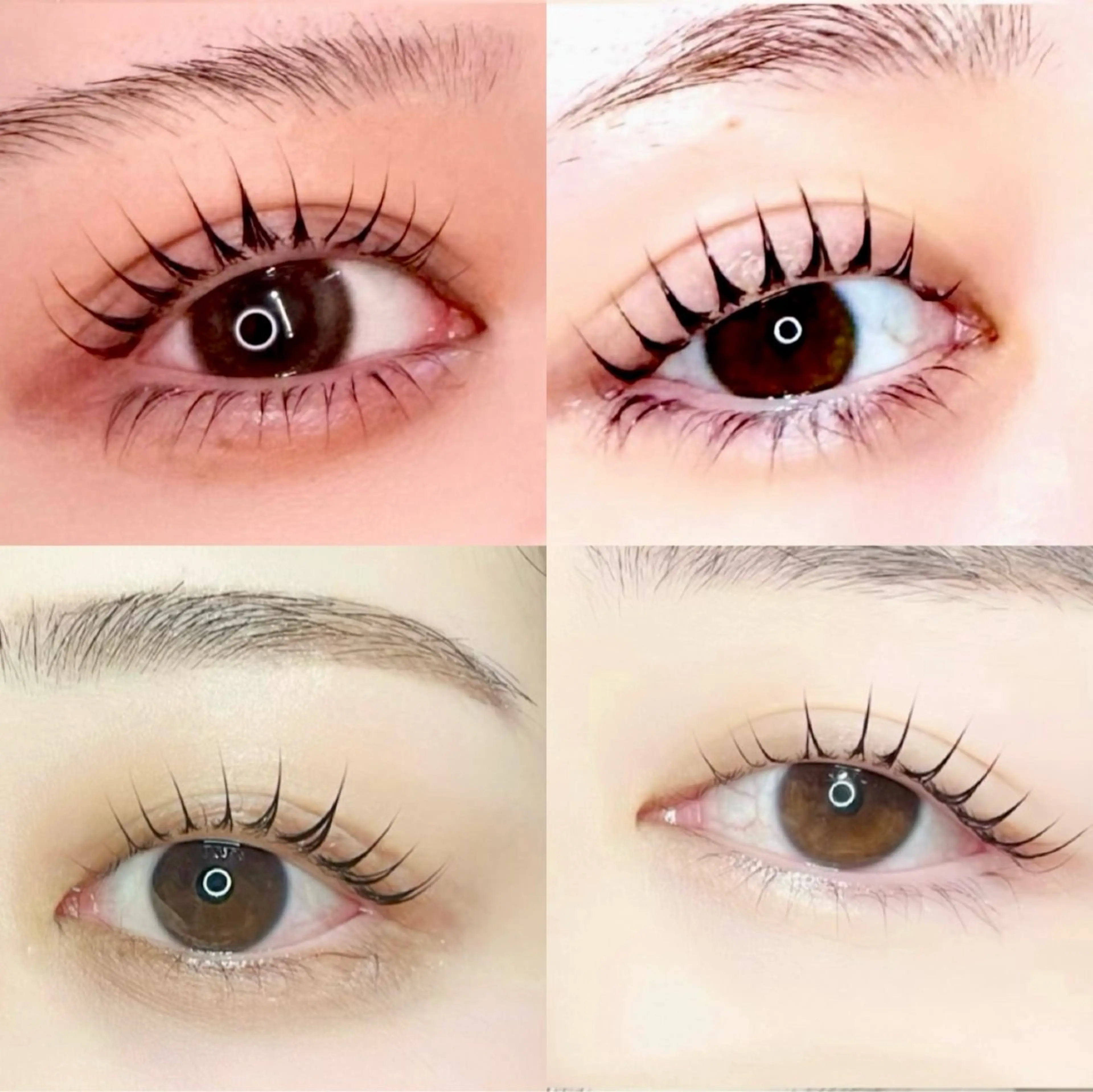 マツエク・マツパ 🦖fein. YUINA🦕⋆͛のマツエク・マツパデザイン