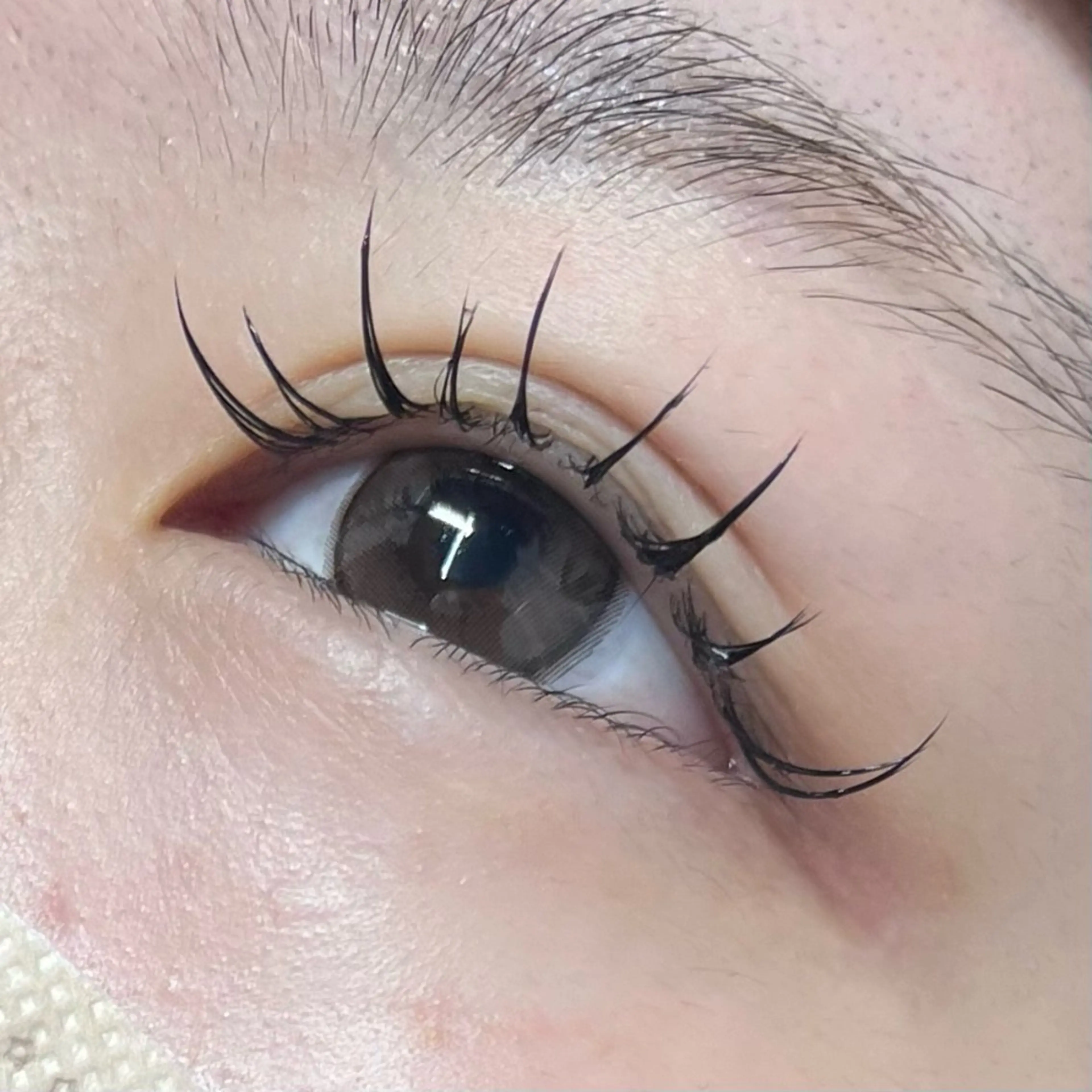 マツエク・マツパ ワンホンマツエク iolo Yabumotoのマツエク・マツパデザイン