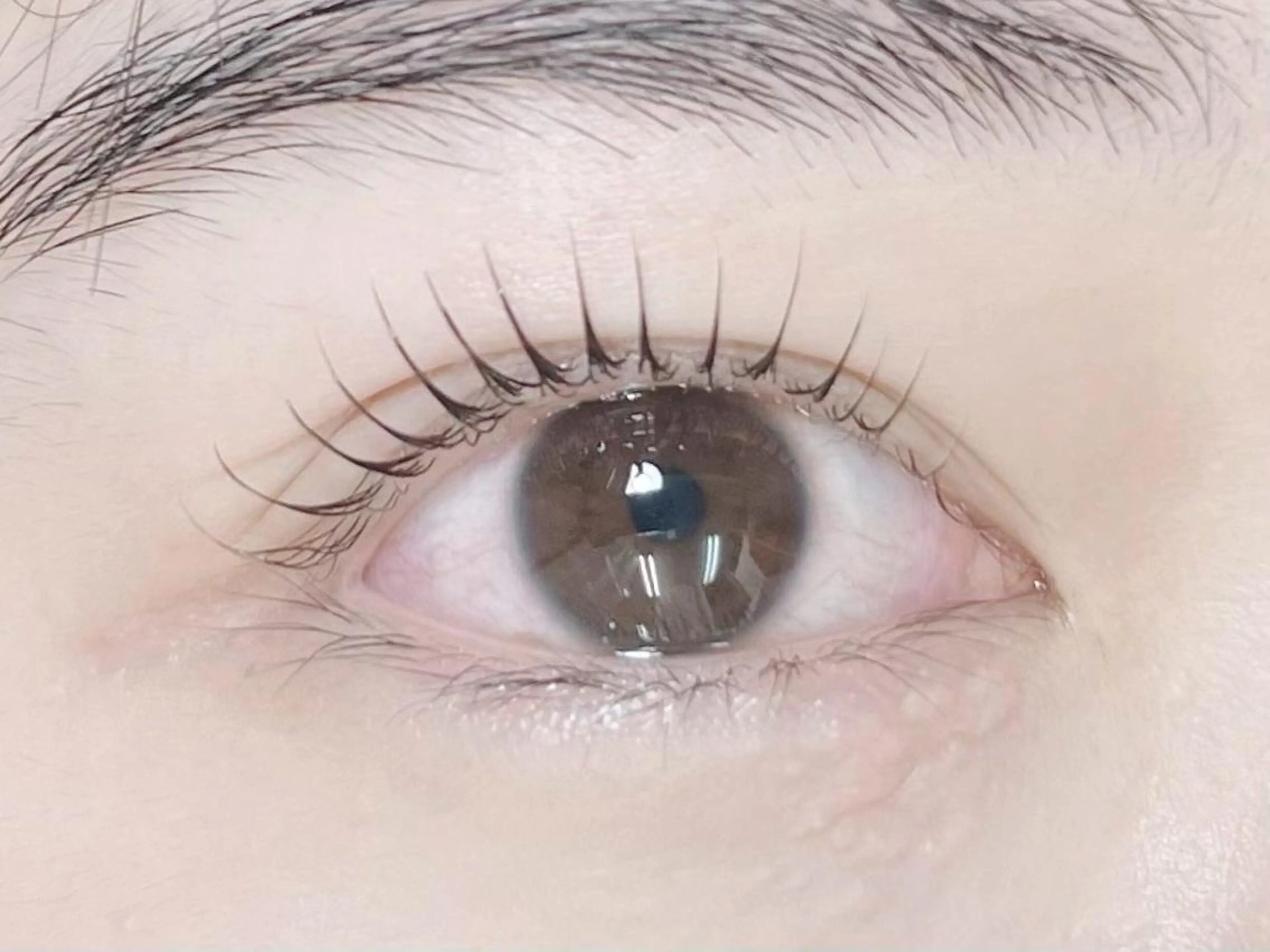 マツエク・マツパ BeckyLash 札幌アカデミー 0のマツエク・マツパデザイン