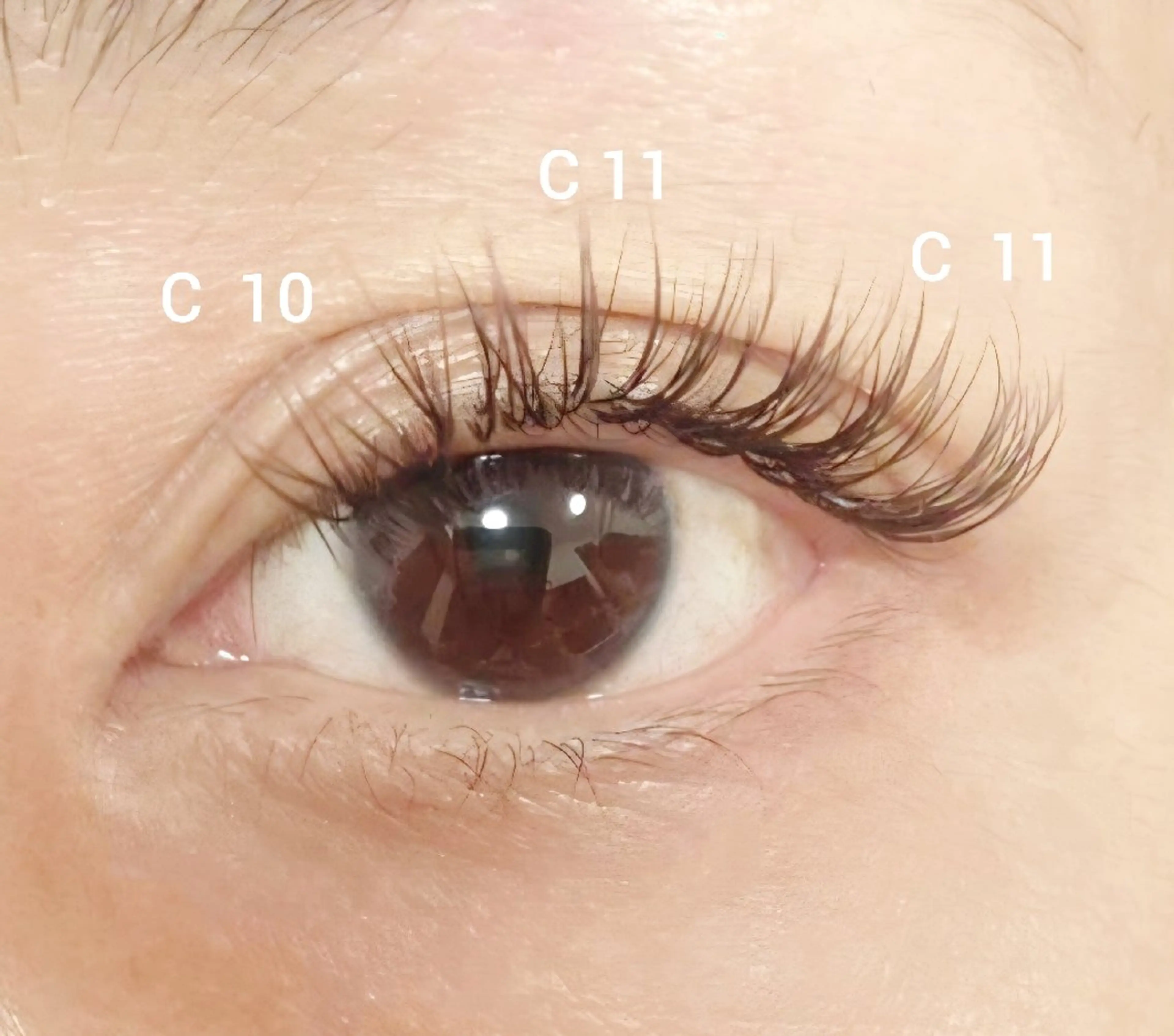 マツエク・マツパ カラーマツエク マツエク EYE 405 Mikaのマツエク・マツパデザイン