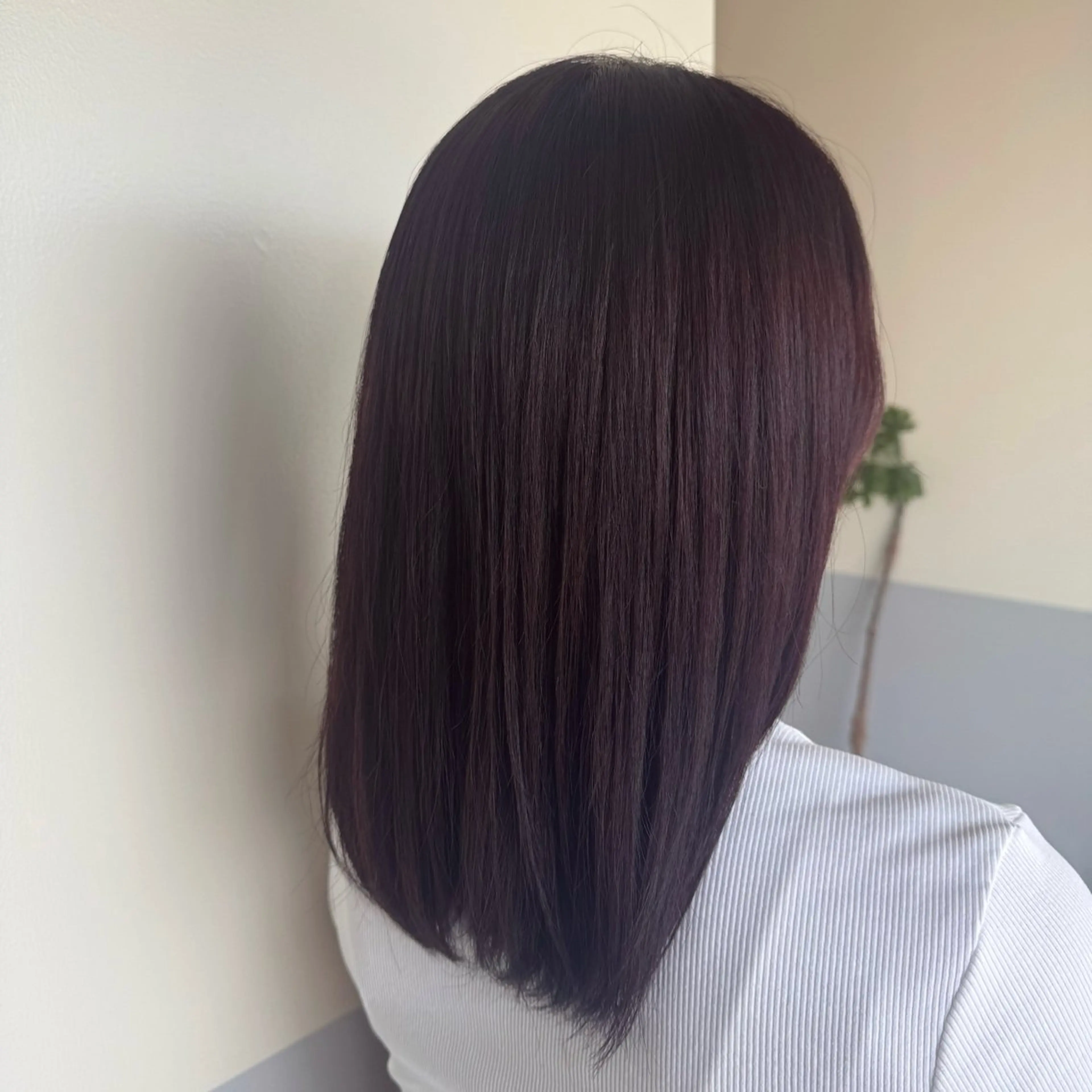 【 ミディアム限定 】ワンカラー＋シャンプーブローモデルの写真