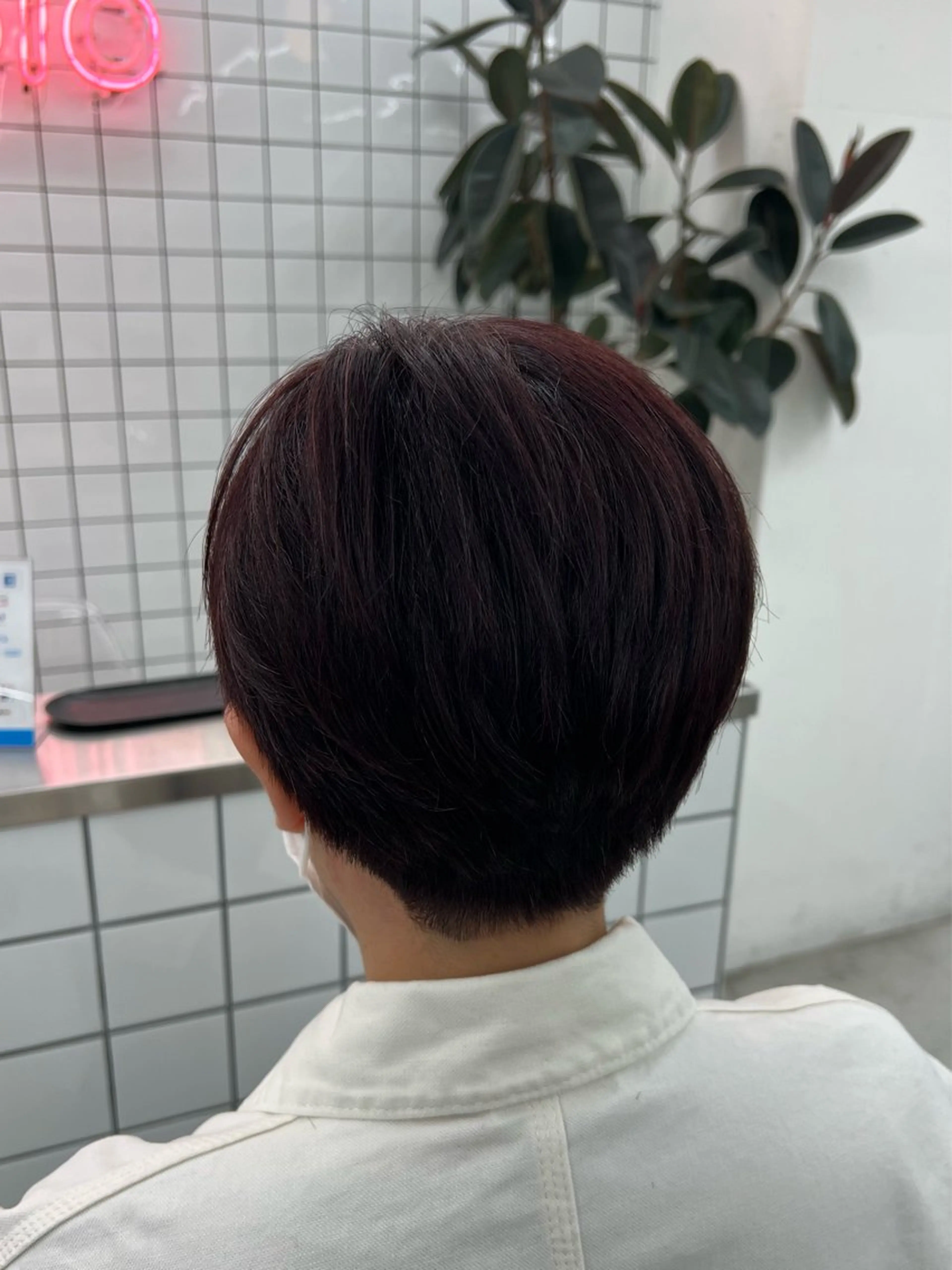 ショート カラー ボルドーカラー ブラウンカラー ピンクカラー ピンクブラウン レッドカラー カット ヘアカラー 🌷︎あすか🌷 JILLSTUDIOのヘアスタイル