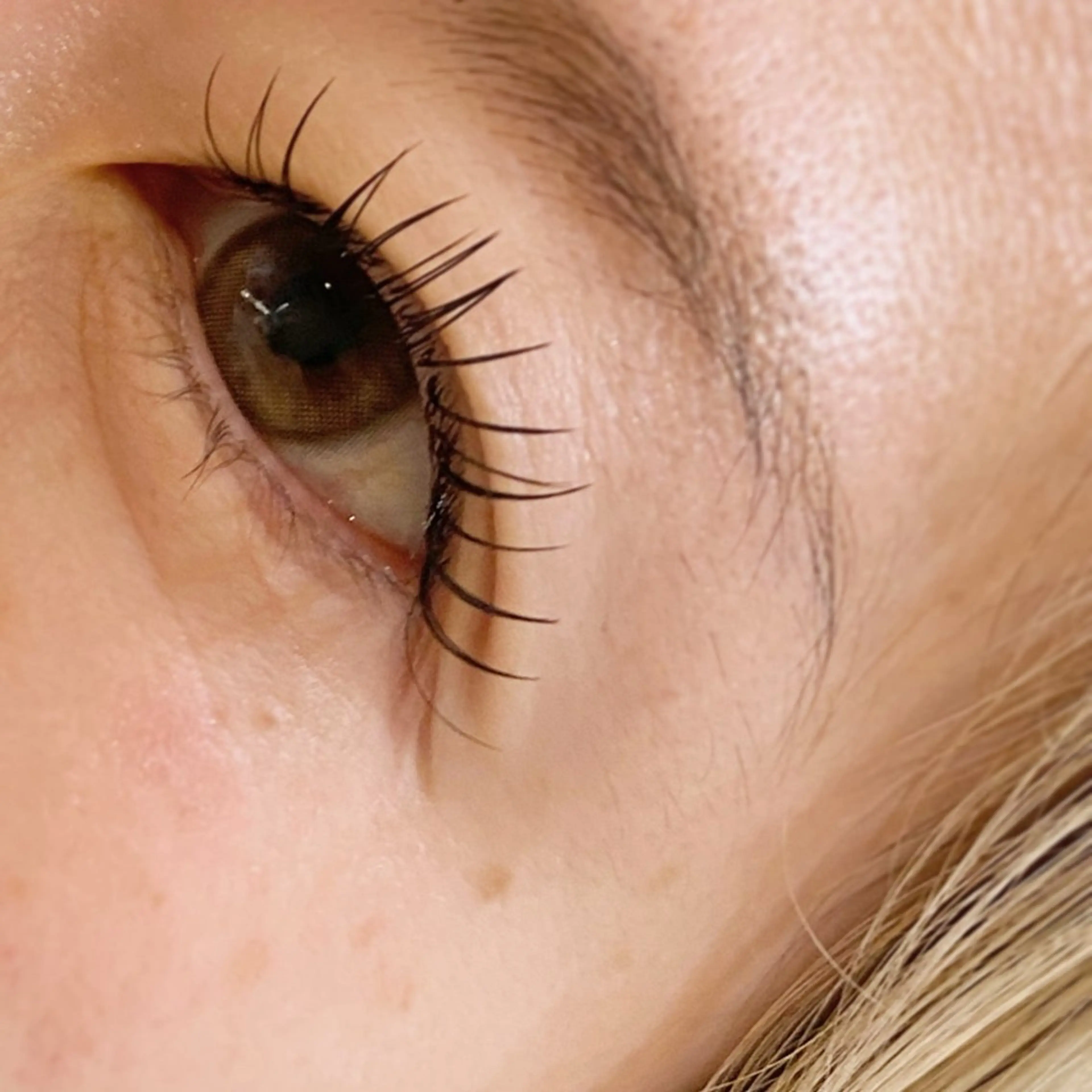 フラットマットラッシュ80本の写真