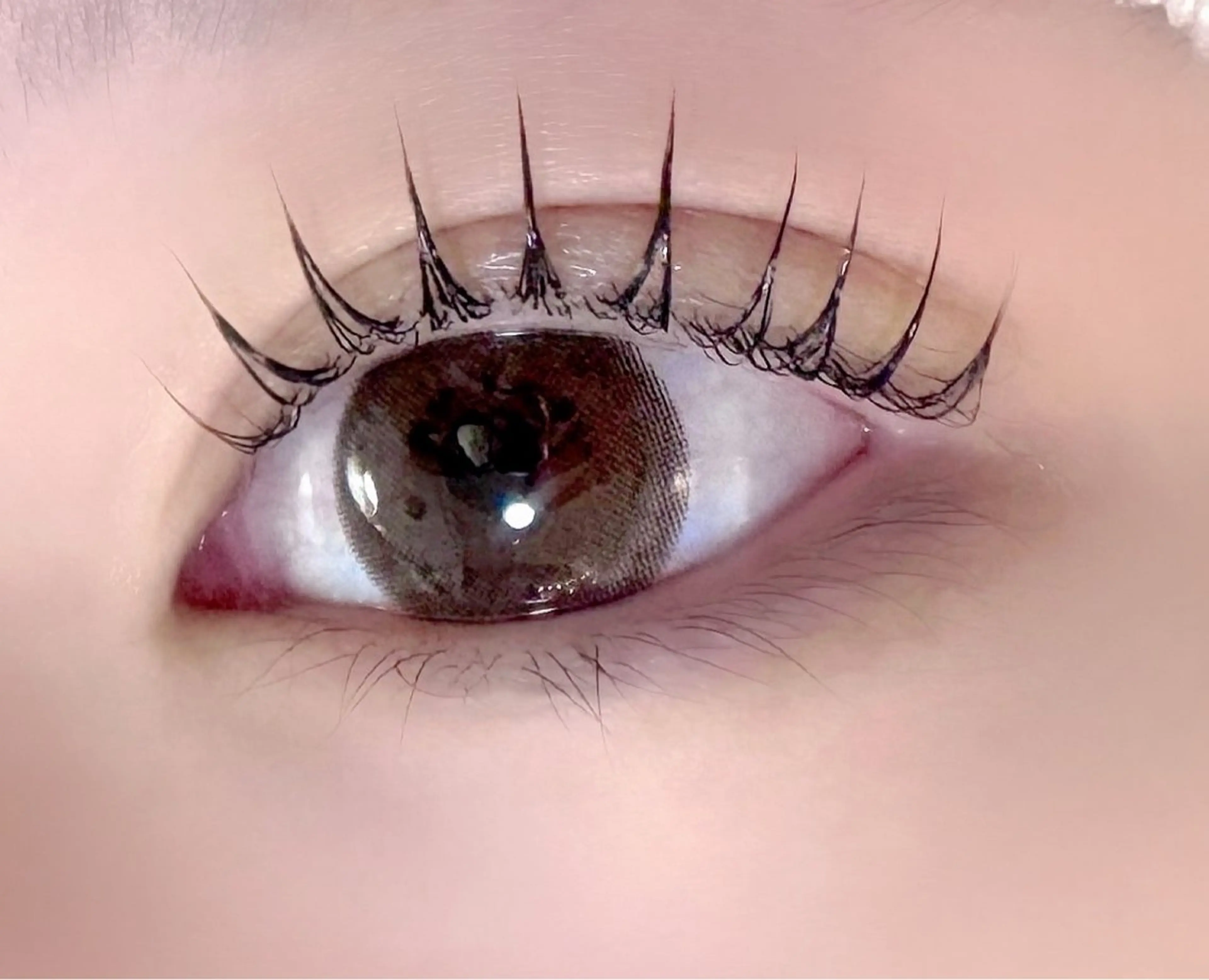 マツエク・マツパ マリーテレジア🪸 ニシヤマのマツエク・マツパデザイン