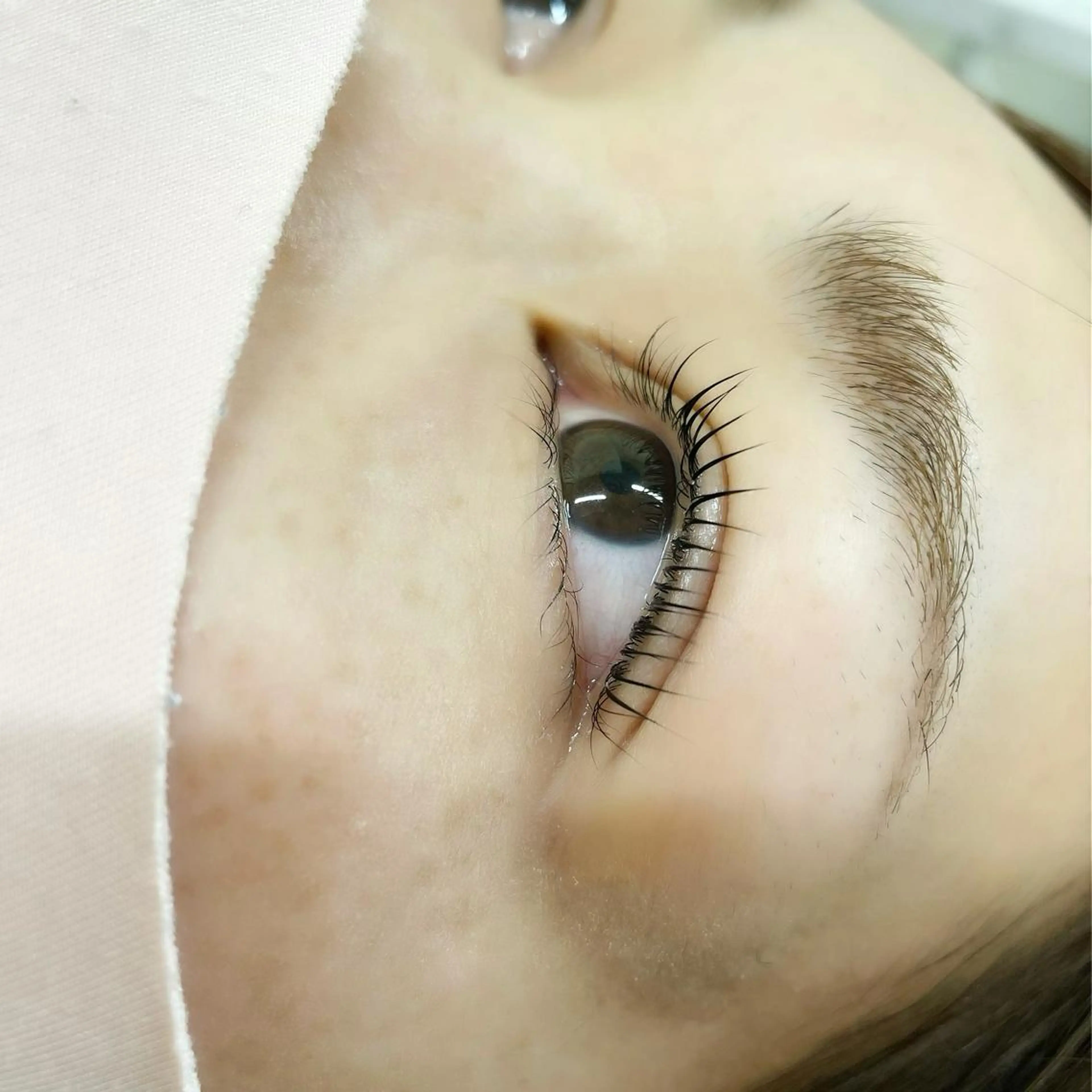 マツエク・マツパ マツパ Amour Angeのマツエク・マツパデザイン