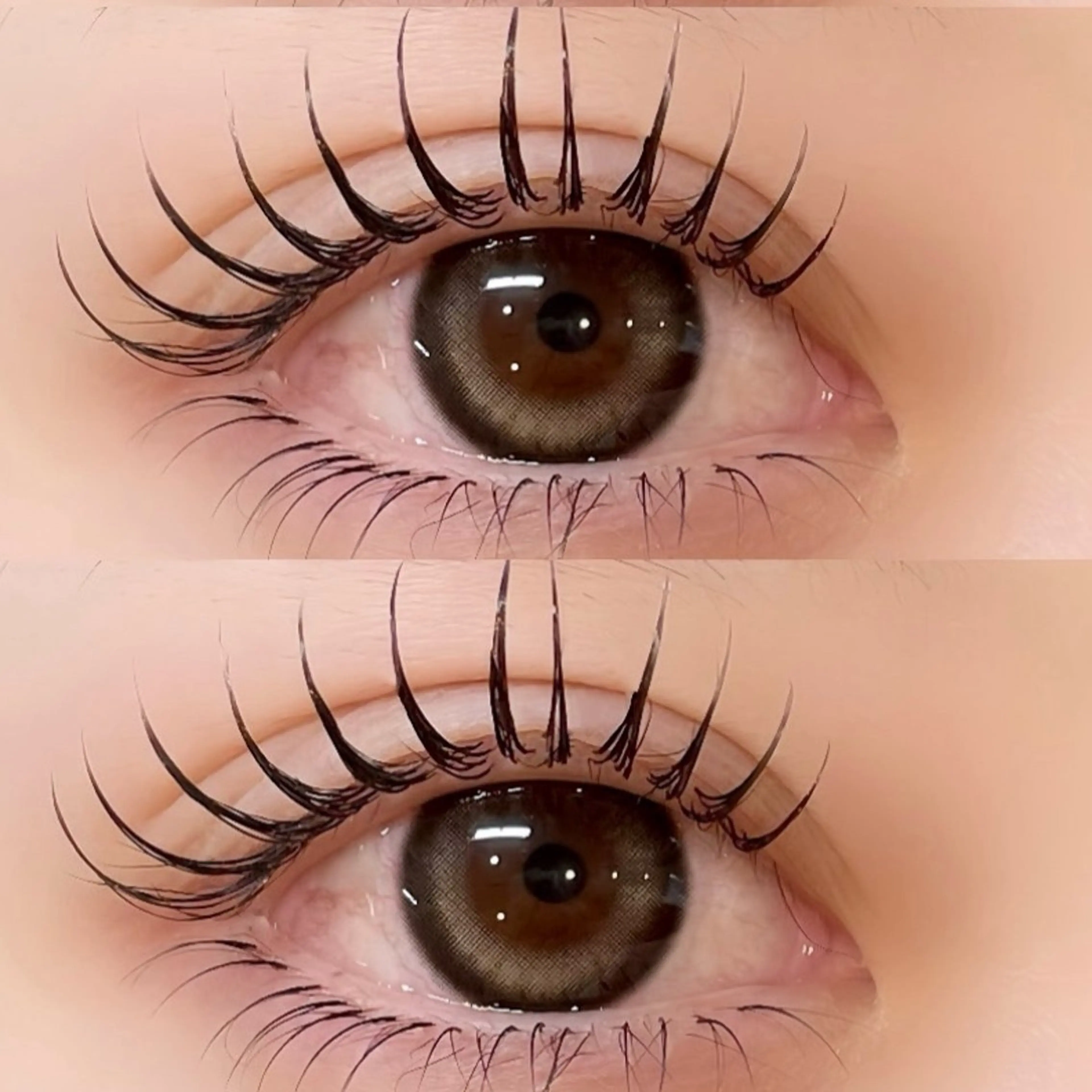 フラットラッシュ🪽120本　/    通常¥5900→¥5500の写真