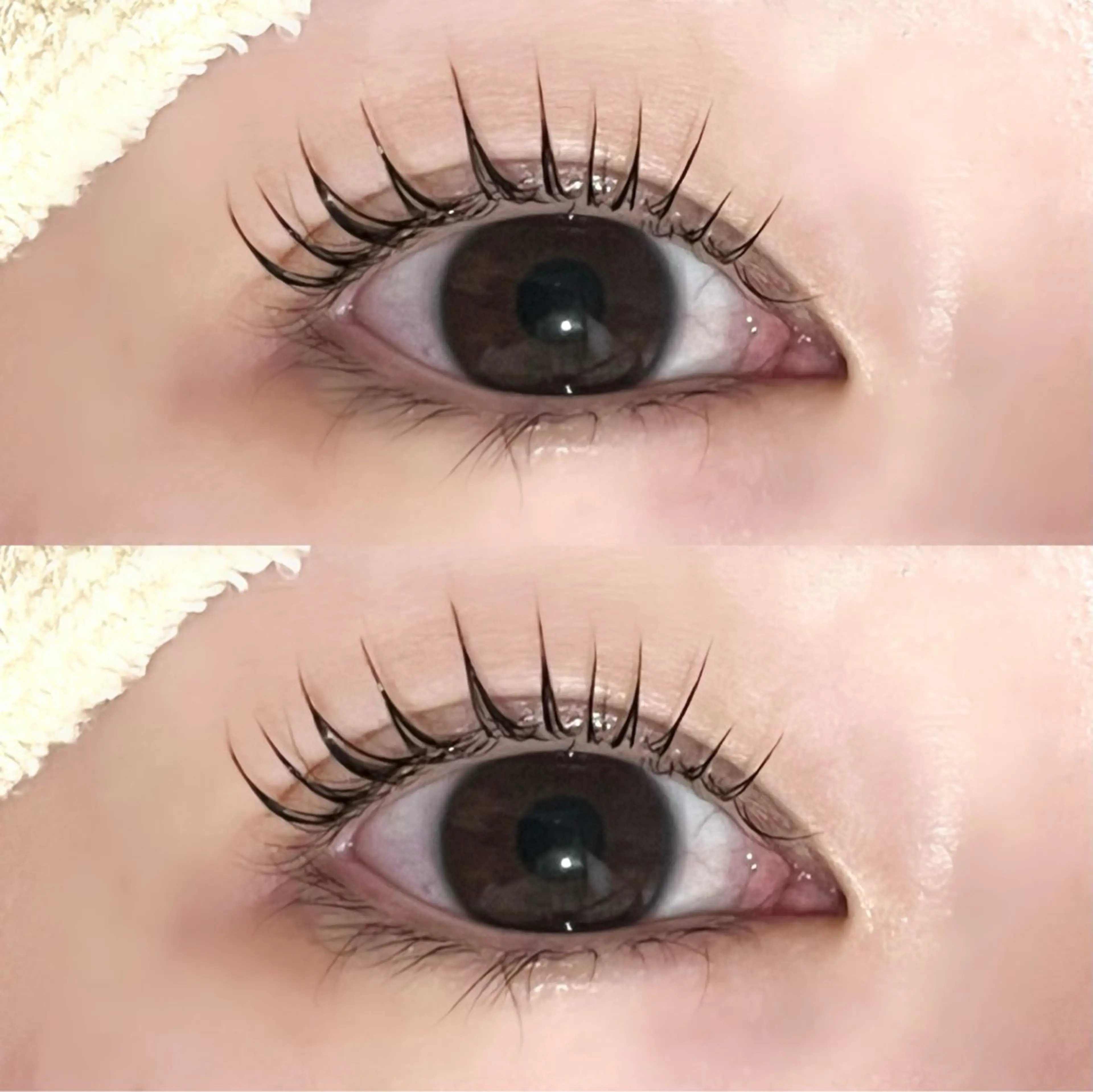 マツエク・マツパ ramu🎀 Mon mignonのマツエク・マツパデザイン