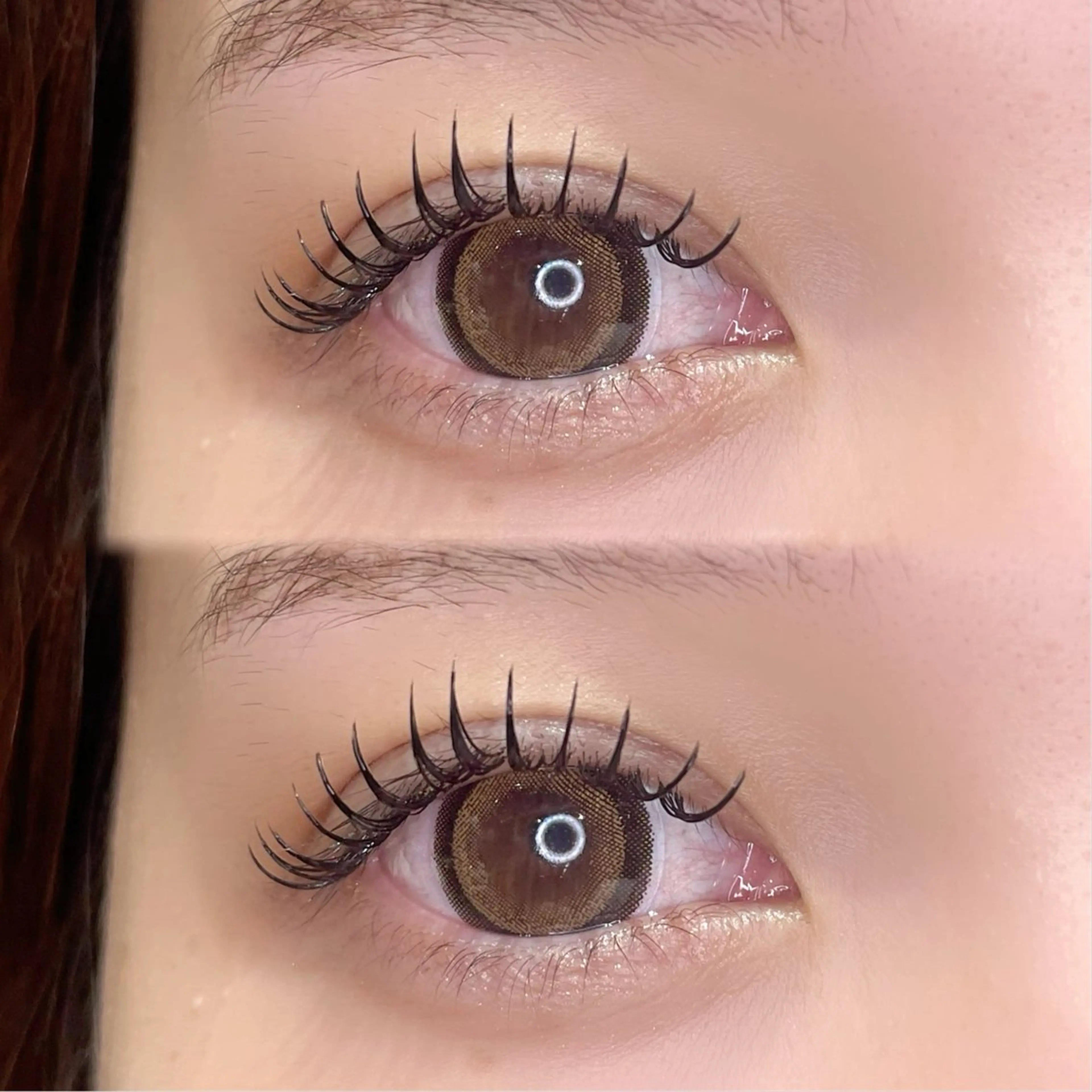 限定価格🐾バインドロック100束🐶🐾※詳細要確認の写真