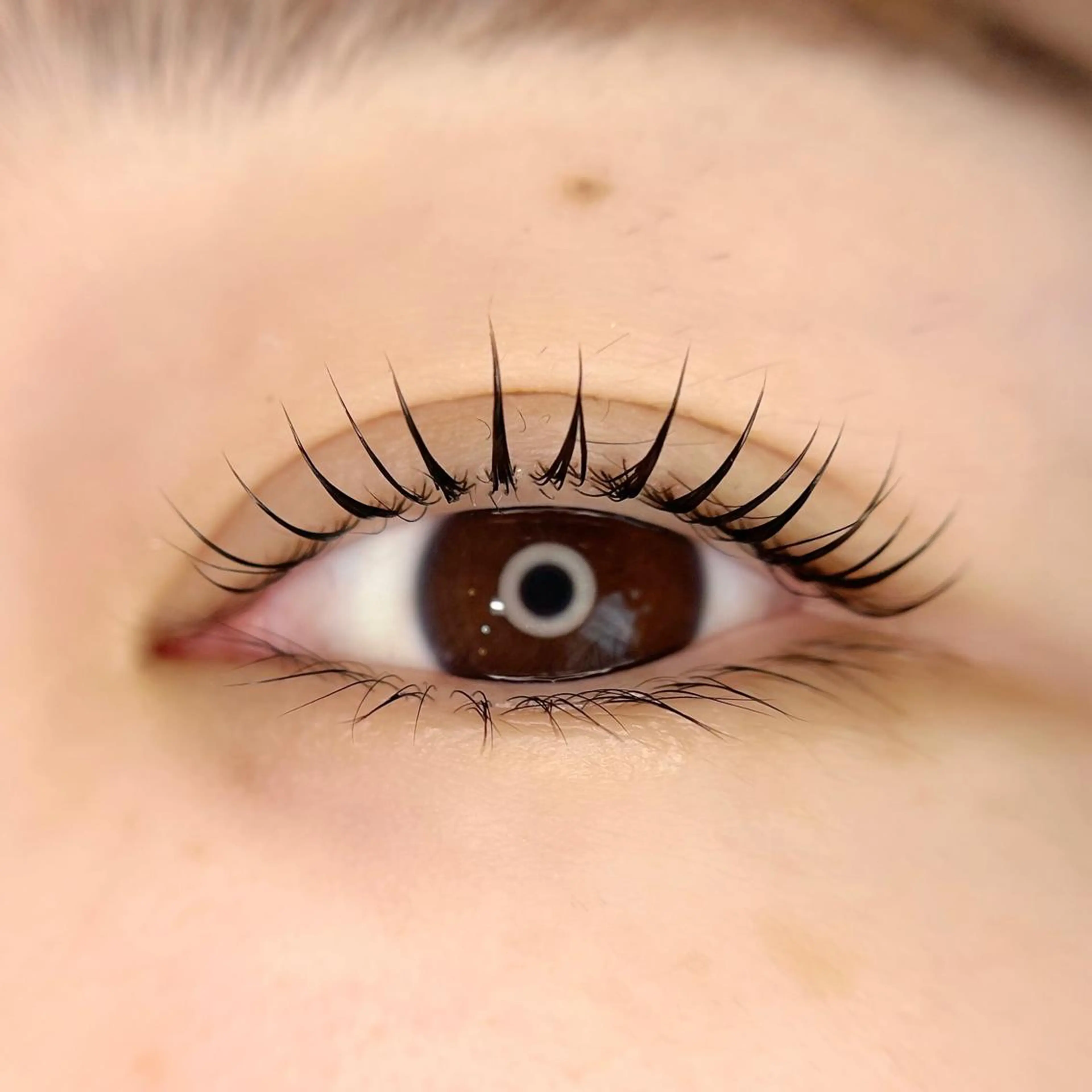 マツエク・マツパ マツパ 🤍南流山MaaZ staff1⃣🤍のマツエク・マツパデザイン