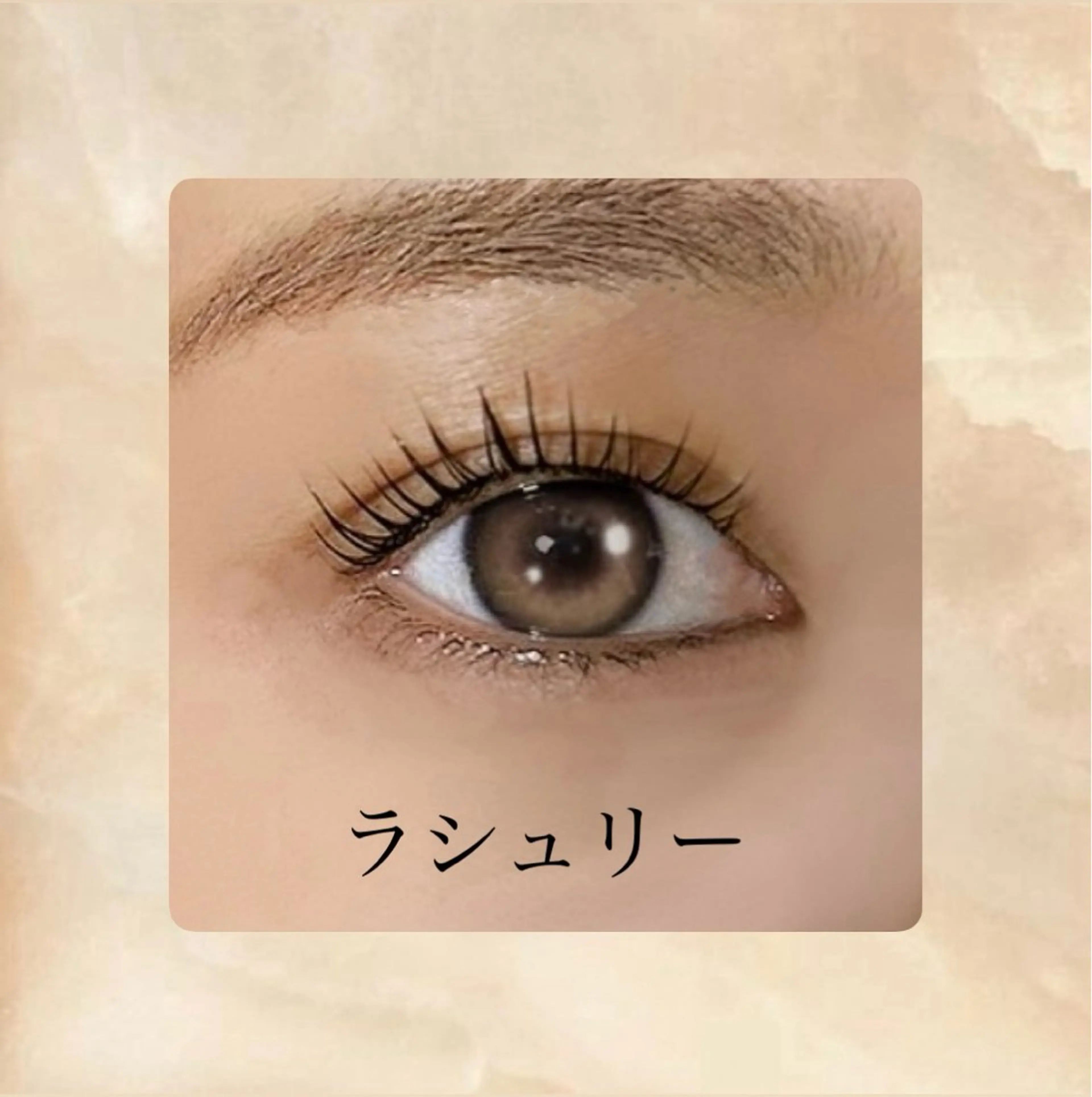 【まつげパーマ🌟立ち上げメストレート】ラシュリー¥3,280の写真