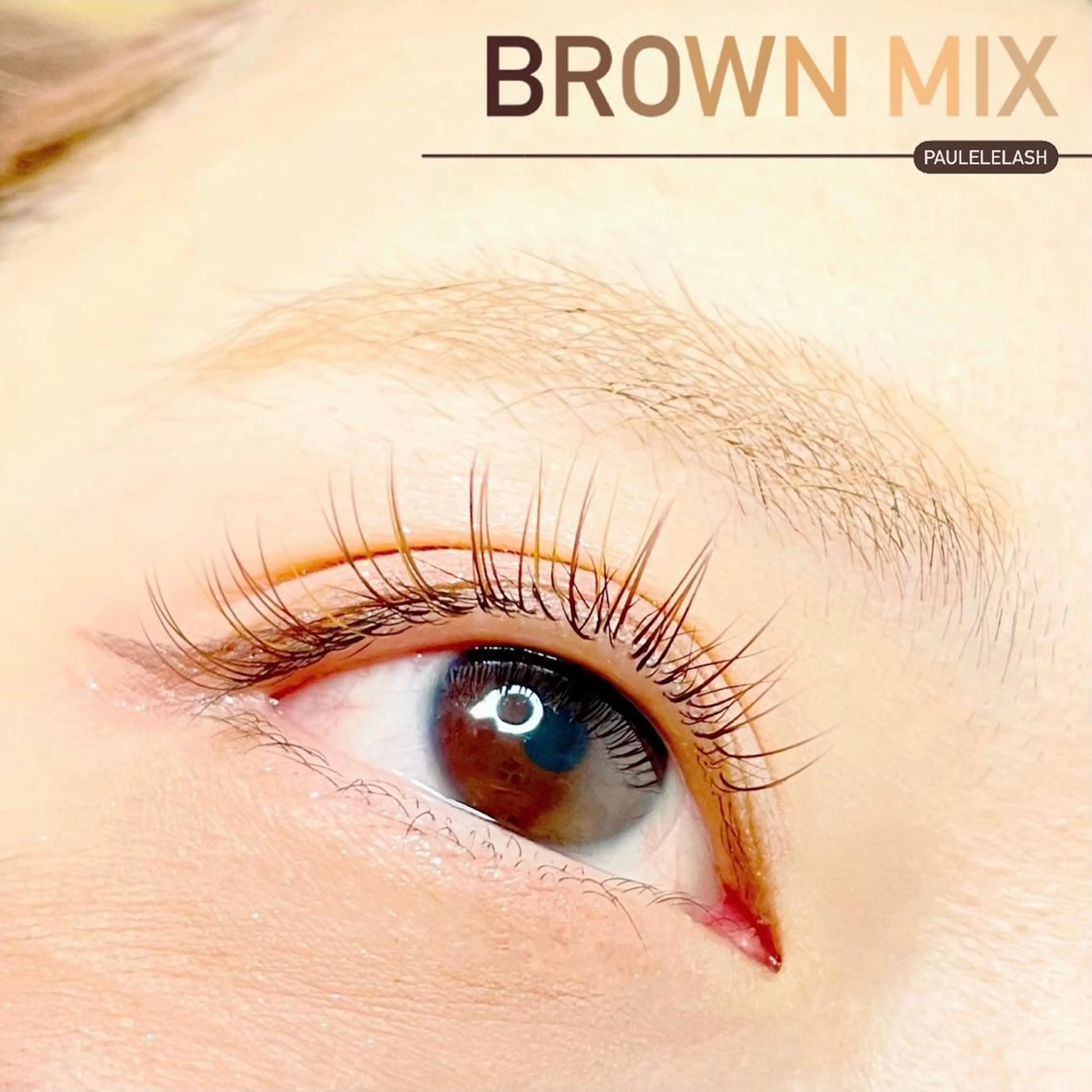 マツエク・マツパ Paulele すぎ.*のマツエク・マツパデザイン