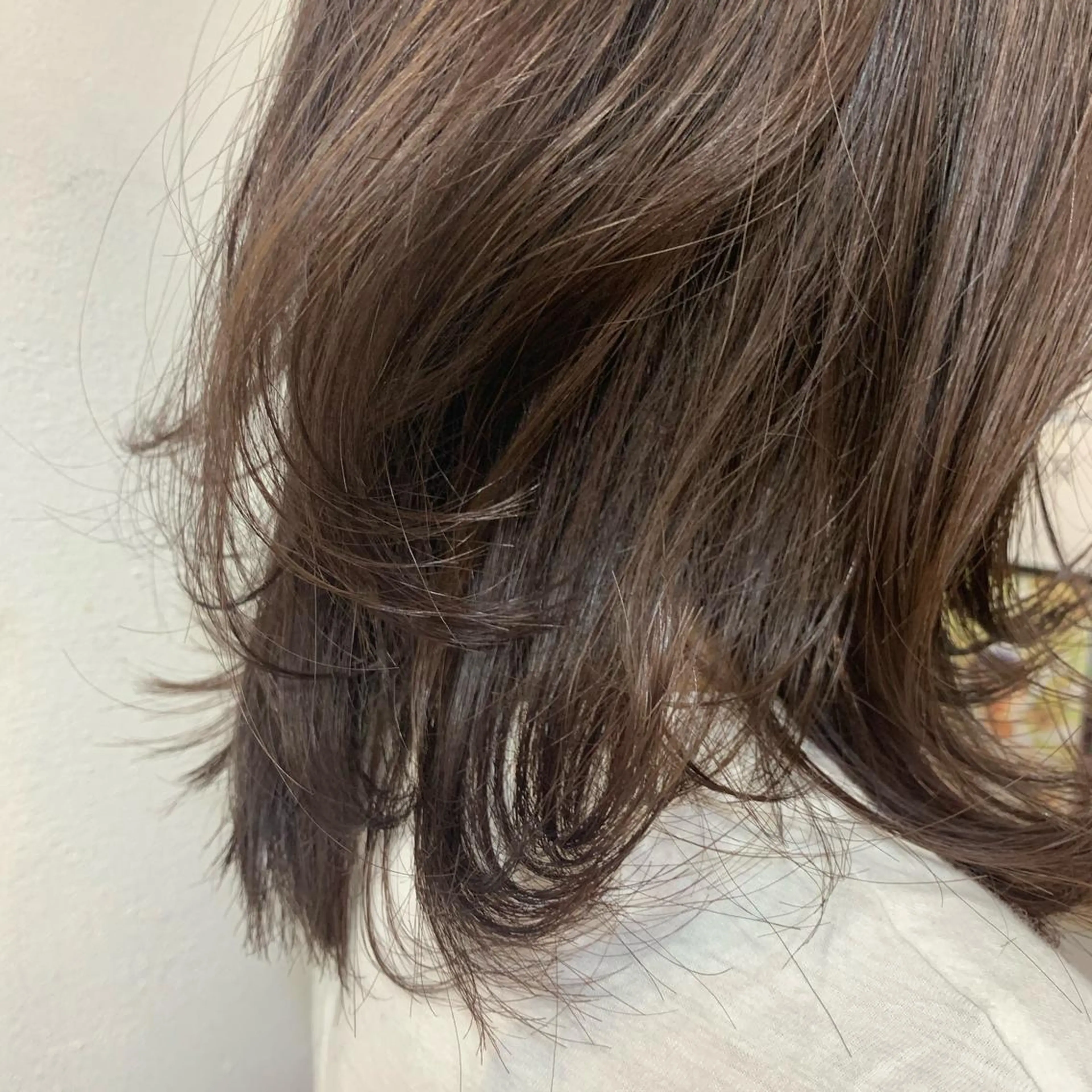 セミロング カラー レイヤーカット、 大人可愛い　中村美羅のヘアスタイル