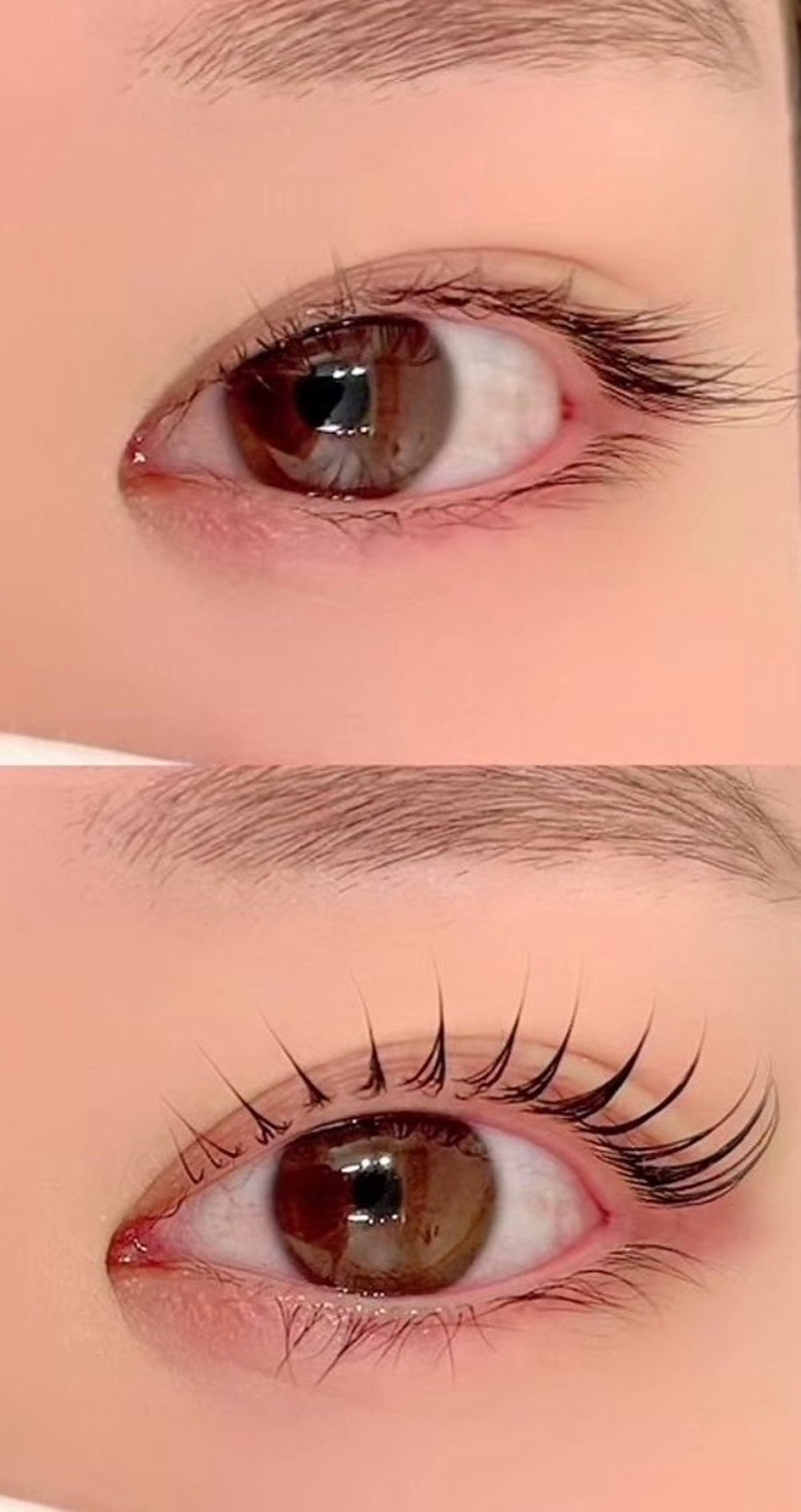 マツエク・マツパ Lupines 🐰ᩚのマツエク・マツパデザイン