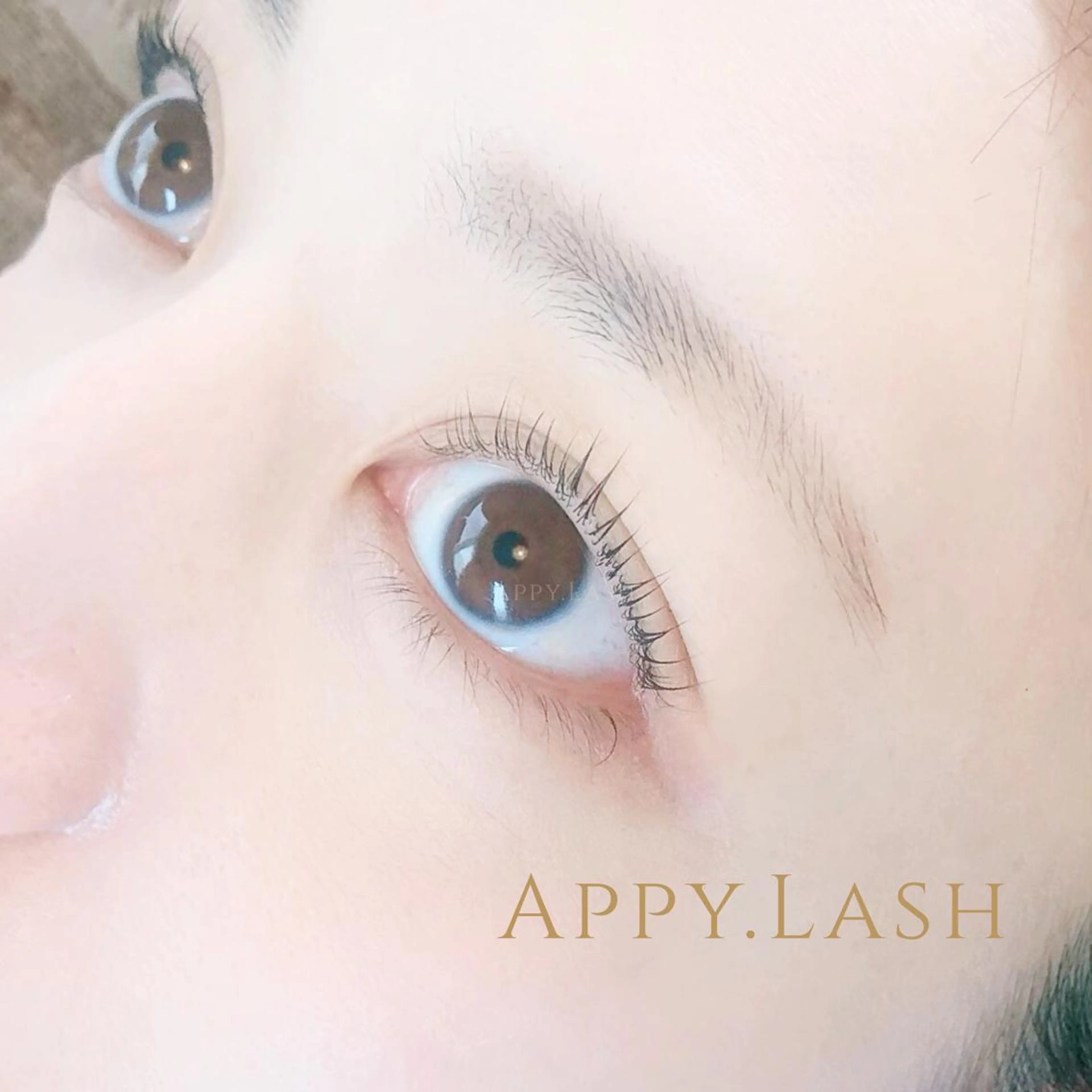 マツエク・マツパ フラットラッシュ ナチュラル パリジェンヌラッシュリフト まつげパーマ ボリュームラッシュ まつげと眉の専門店 Appy.Lashのマツエク・マツパデザイン