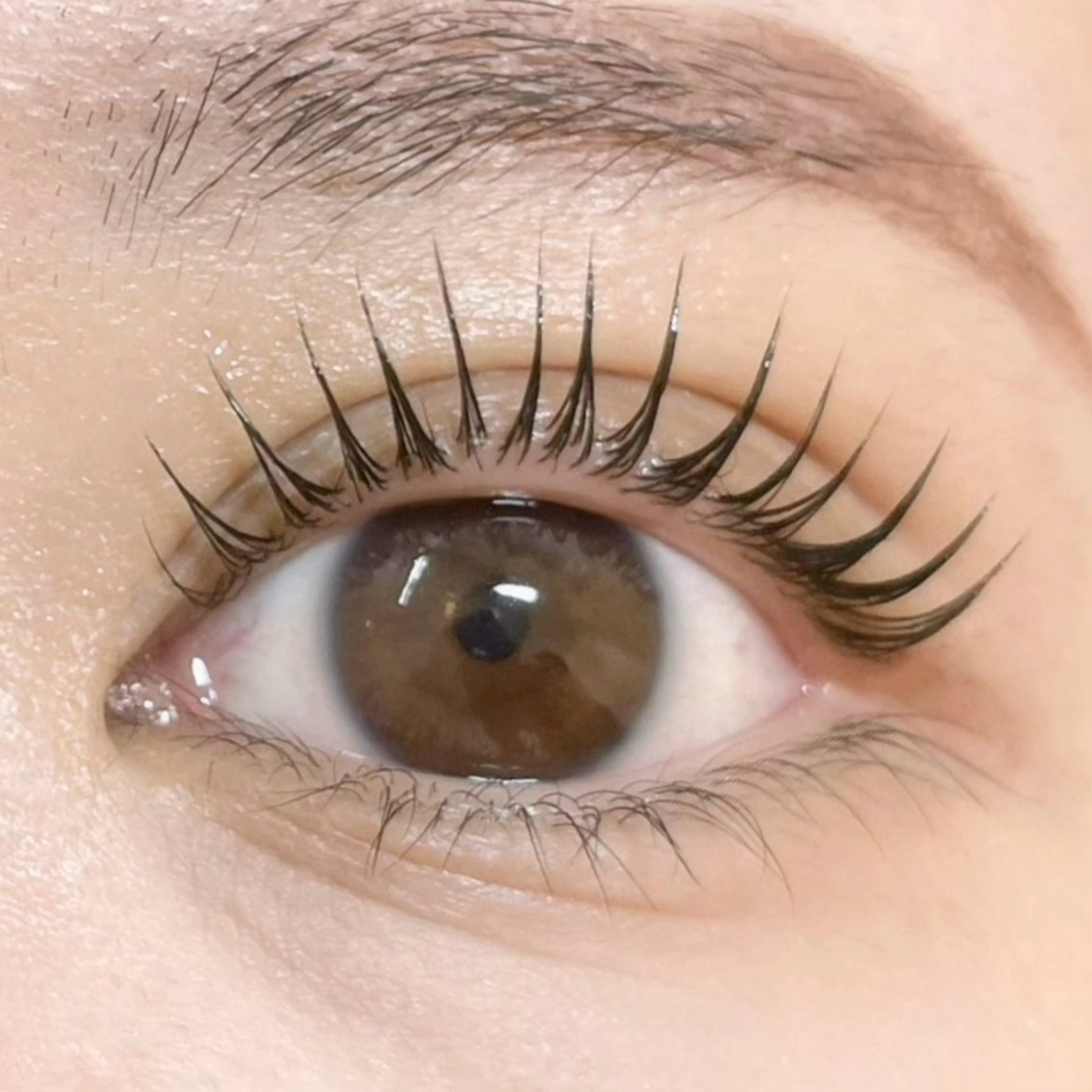 マツエク・マツパ パリジェンヌラッシュリフト KUON EYE LASHSALONのマツエク・マツパデザイン