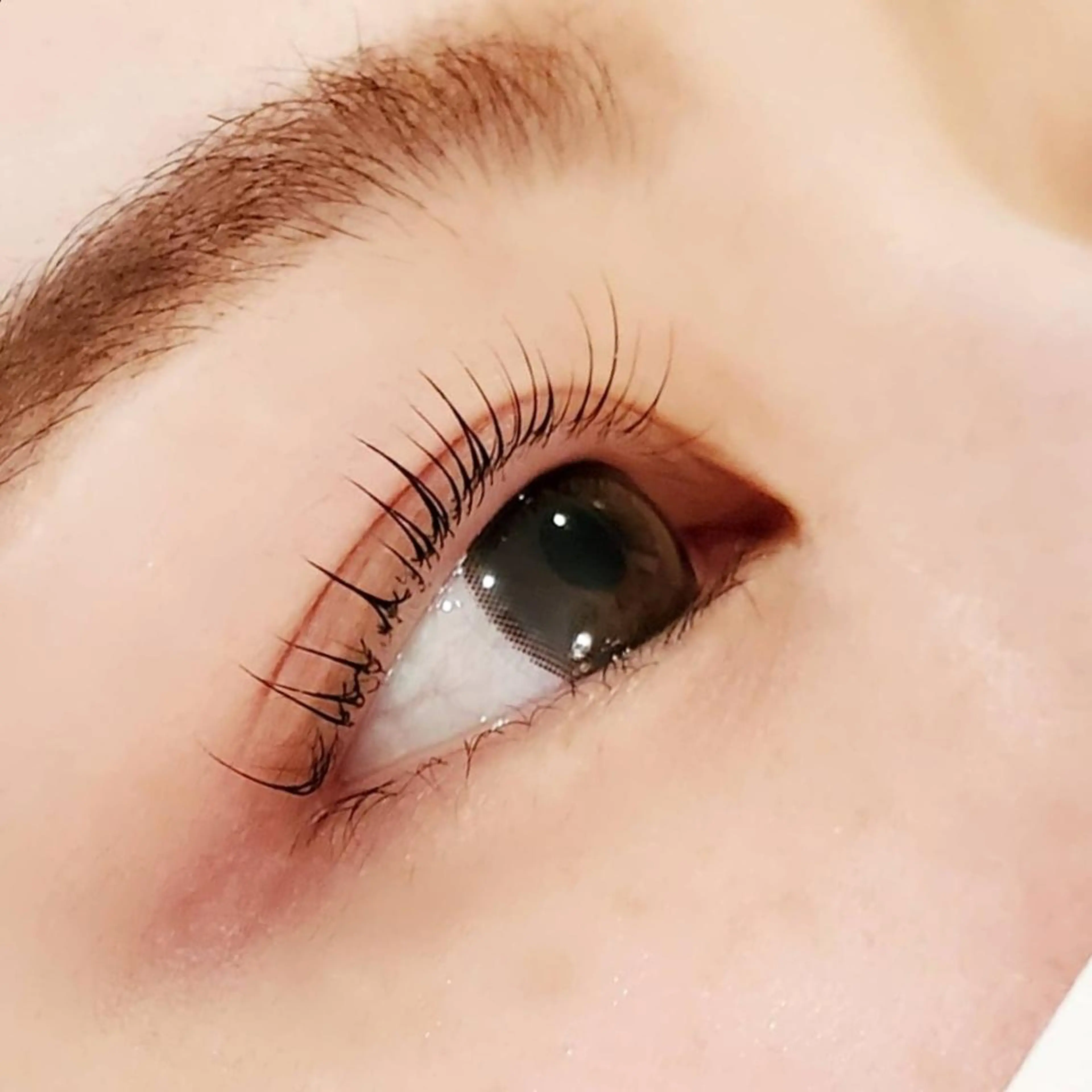 マツエク・マツパ ant_u🌷 arisaのマツエク・マツパデザイン