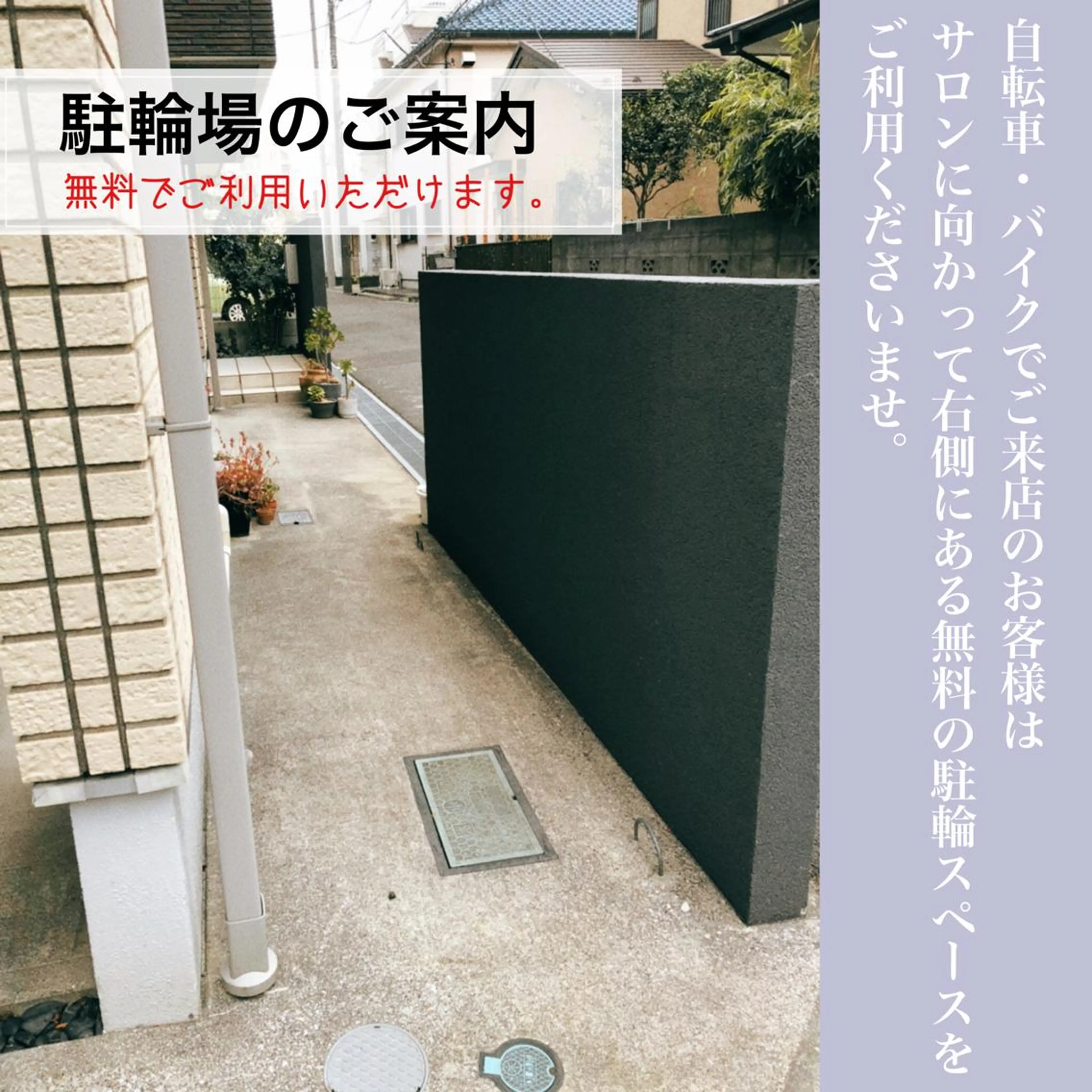 島田  真澄のマツエク・マツパデザイン