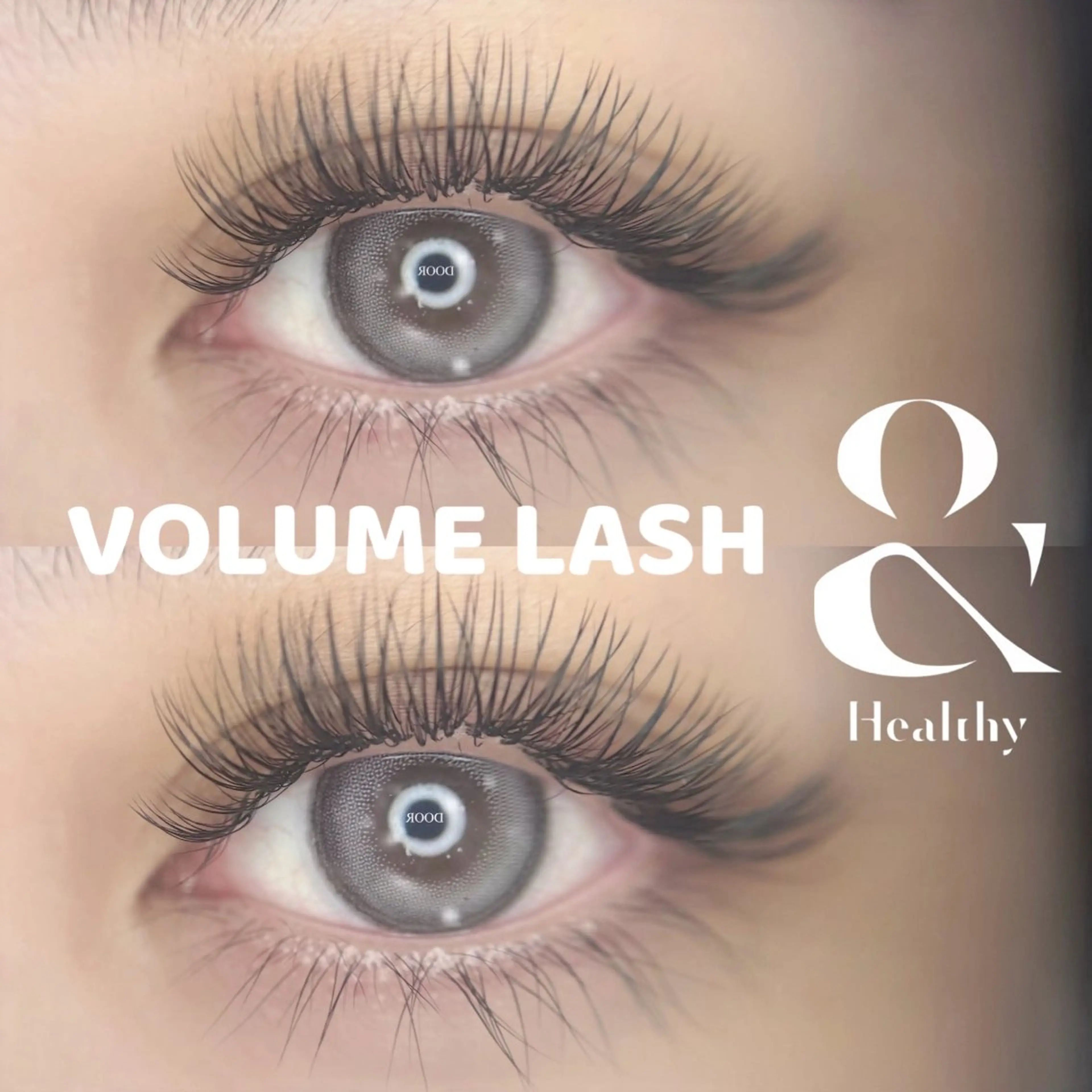 &ヘルシー🩰 【 LED💡ボリュームラッシュ400本( 100束 )➕パーマ ➕アイシャンプー🧴】の写真