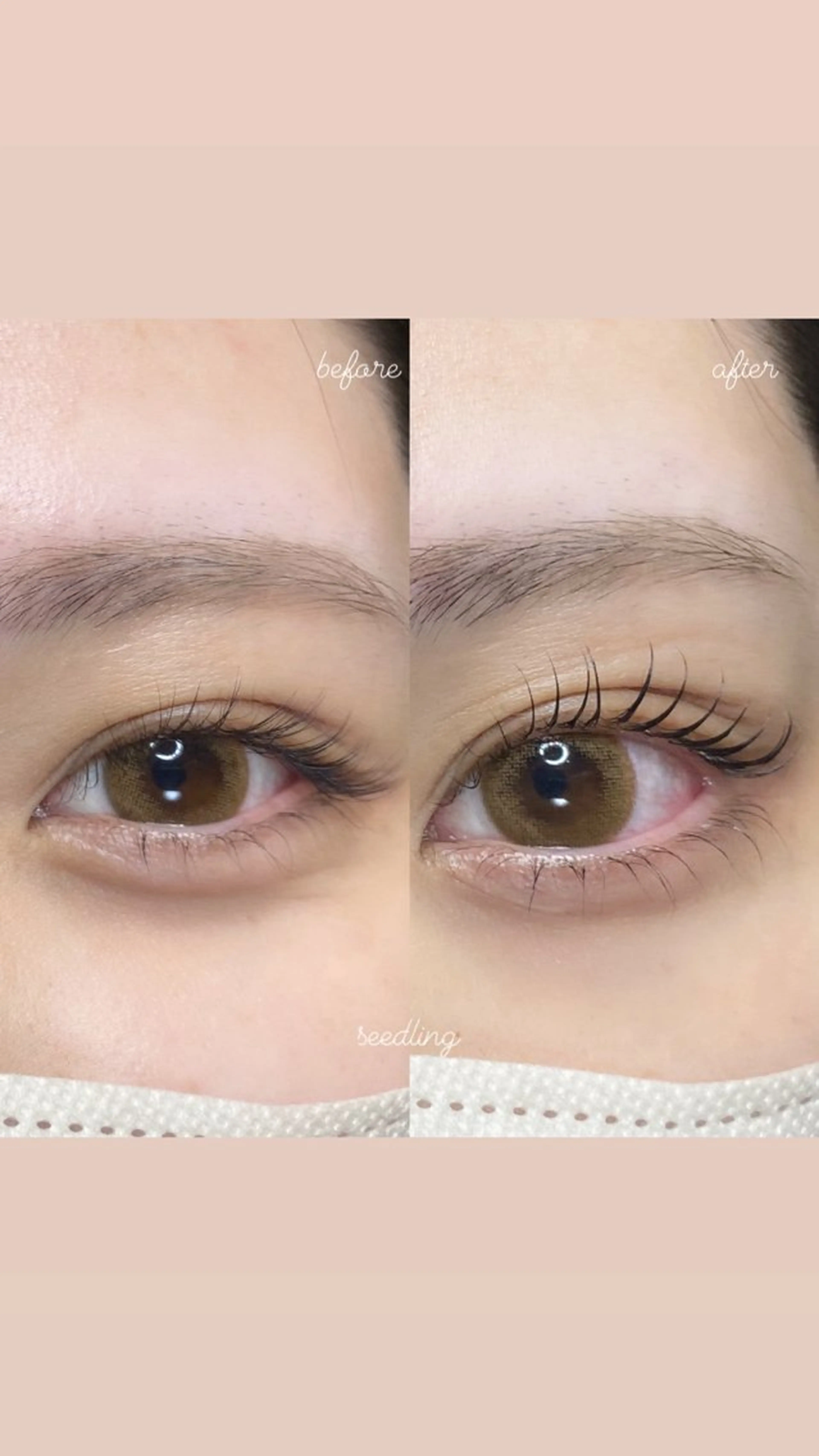 マツエク・マツパ シードリン 府内店 杉田のマツエク・マツパデザイン