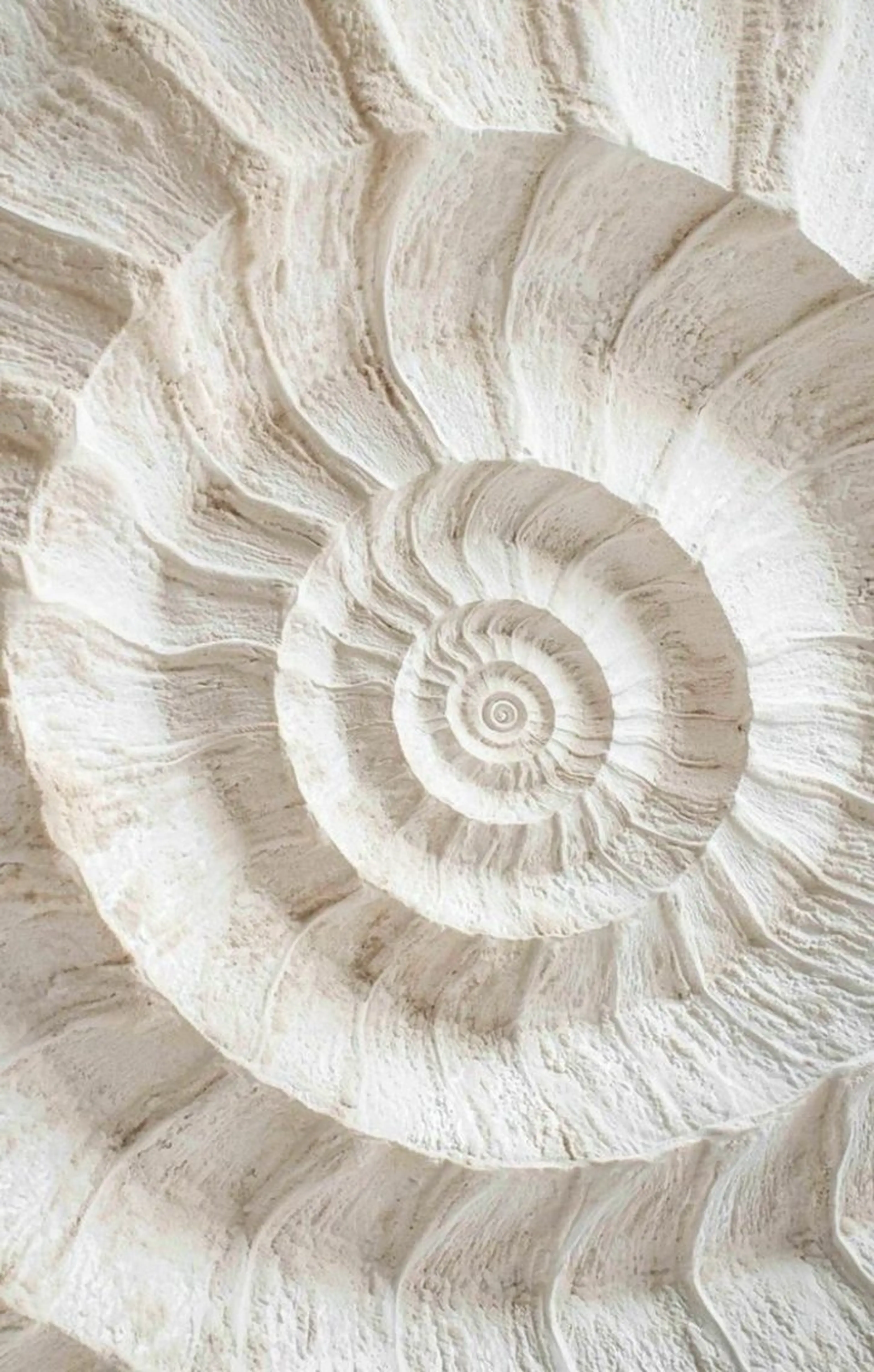 マツエク・マツパ 下まつげエクステ 🦋MaaZlash 南流山FUKA🤍のマツエク・マツパデザイン