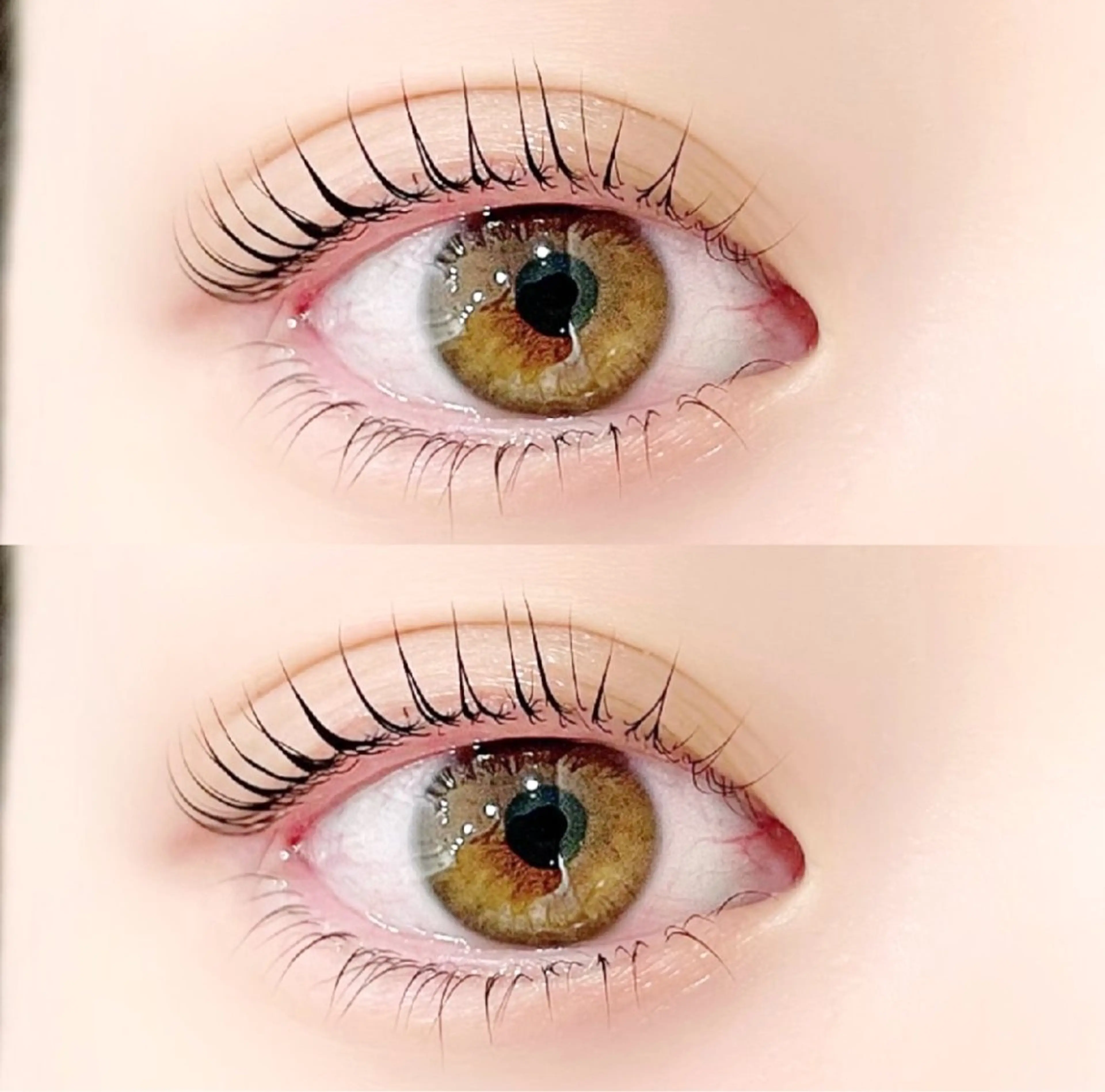 🎀3月限定🎀デザインラッシュリフト（まつ毛パーマ） orパリジェンヌ保湿コーティング仕上げ◎の写真